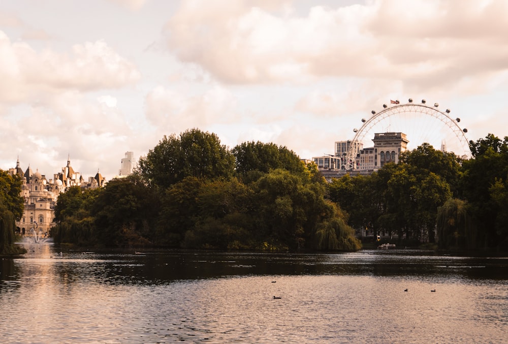 a river with a ferris wheel in the background