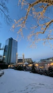 A snowy landscape is illuminated by festive lights wrapping around bare tree branches. In the background, a tall modern building stands next to a traditional, beautifully lit structure, possibly part of a winter festival or holiday market. Flags are visible atop the structure, and a carousel appears amidst decorated trees.