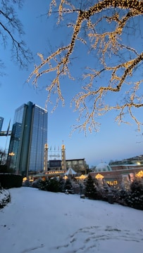 A snowy landscape is illuminated by festive lights wrapping around bare tree branches. In the background, a tall modern building stands next to a traditional, beautifully lit structure, possibly part of a winter festival or holiday market. Flags are visible atop the structure, and a carousel appears amidst decorated trees.