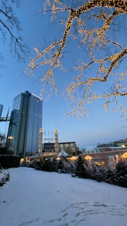 A snowy landscape is illuminated by festive lights wrapping around bare tree branches. In the background, a tall modern building stands next to a traditional, beautifully lit structure, possibly part of a winter festival or holiday market. Flags are visible atop the structure, and a carousel appears amidst decorated trees.