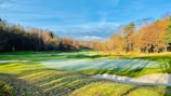 A scenic view down a tree-lined fairway with autumn leaves scattered.
