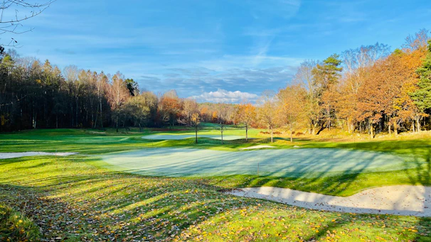 A golfer lining up a putt on a lush green surrounded by autumn trees.
