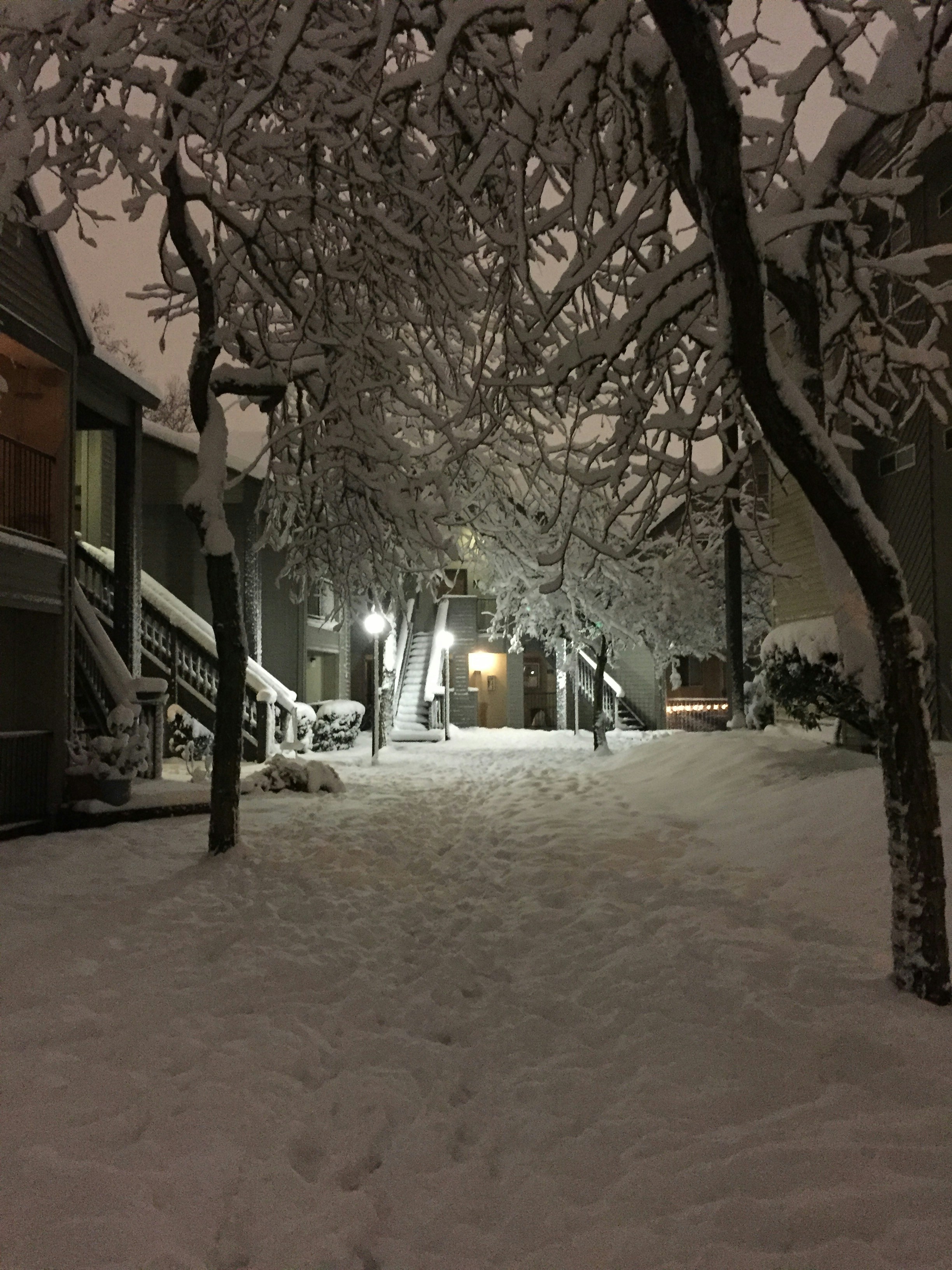 겨울 시험 준비법: 효과적인 전략과 팁