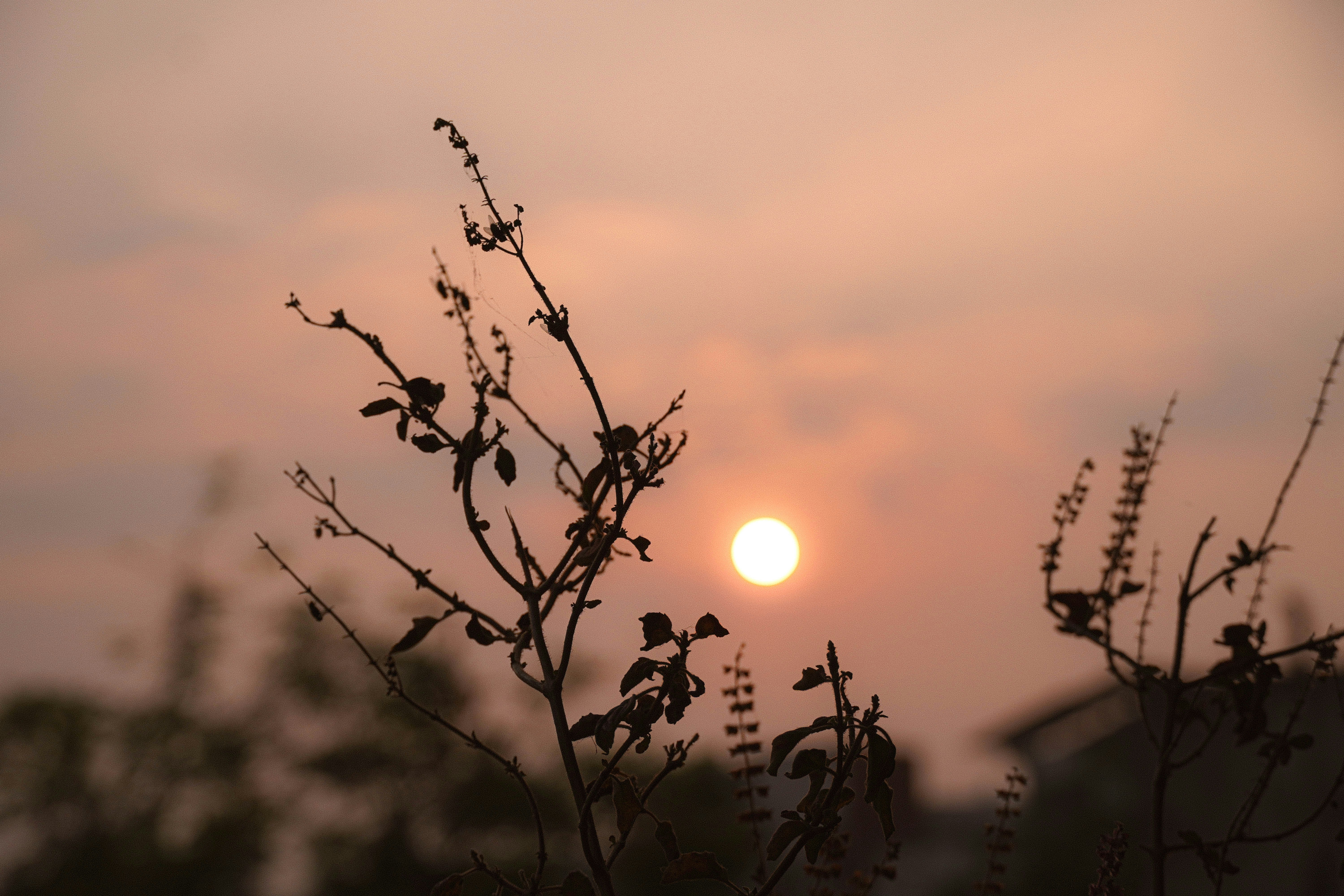 Photo by tarun_suthar_