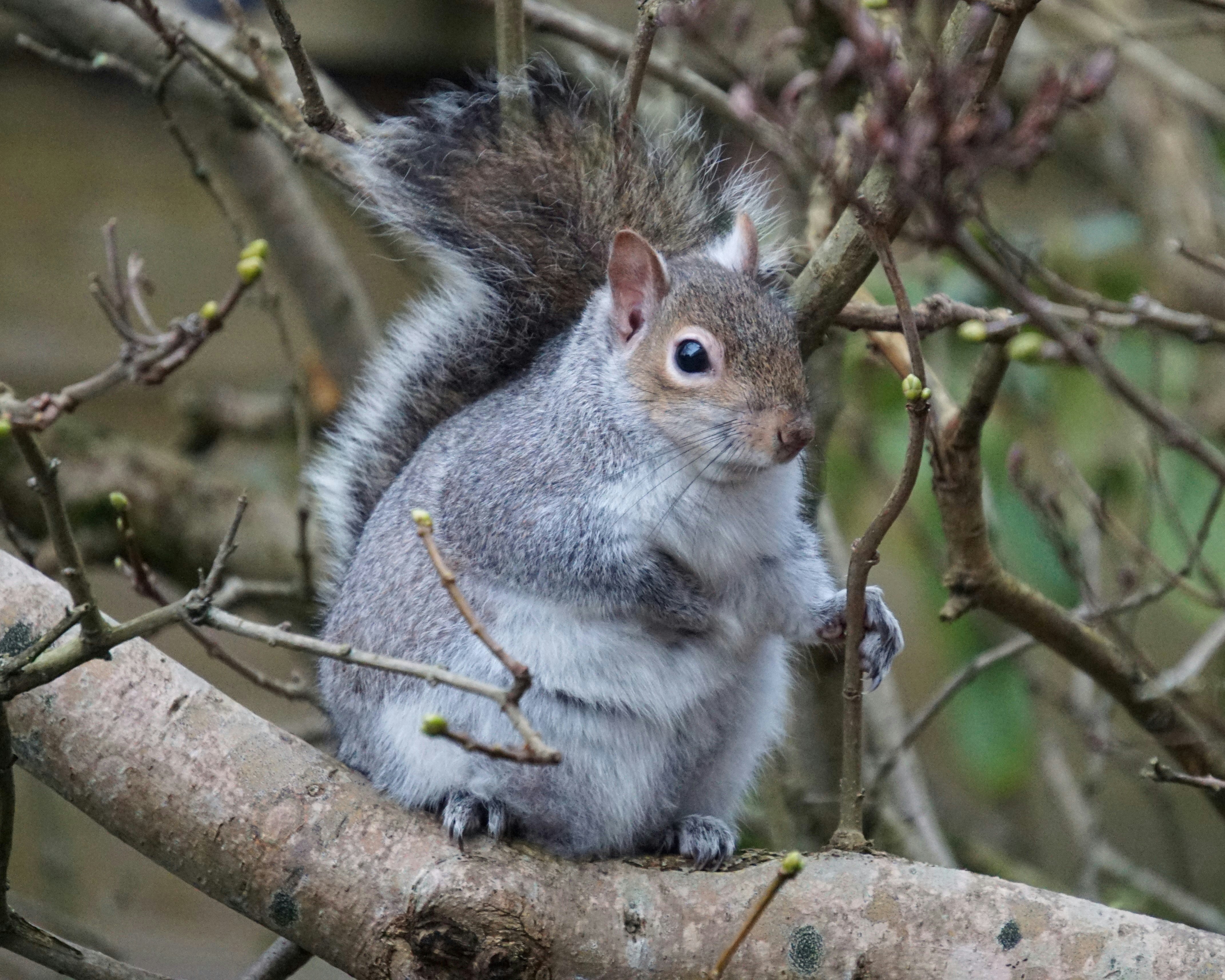 Photo by mostlymarvelling