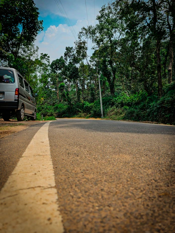 A winding countryside road lined with trees, perfect for a camper journey.