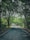 A scenic view of a well-maintained road leading through lush greenery.