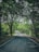 A scenic view of a well-maintained road leading through lush greenery.