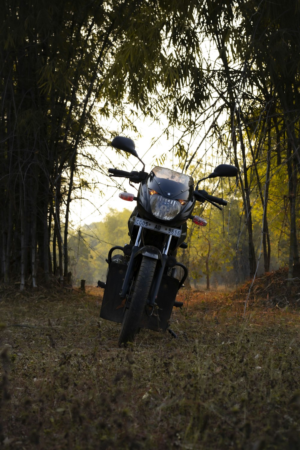 a motorcycle parked in the middle of a forest