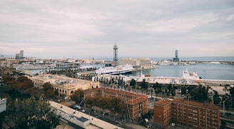 A coastal cityscape featuring a large waterfront area with docked ships, a prominent telecommunications tower, and several modern buildings. In the foreground, there are rows of palm trees and brick residential buildings. The sky is overcast, giving a sense of calmness.