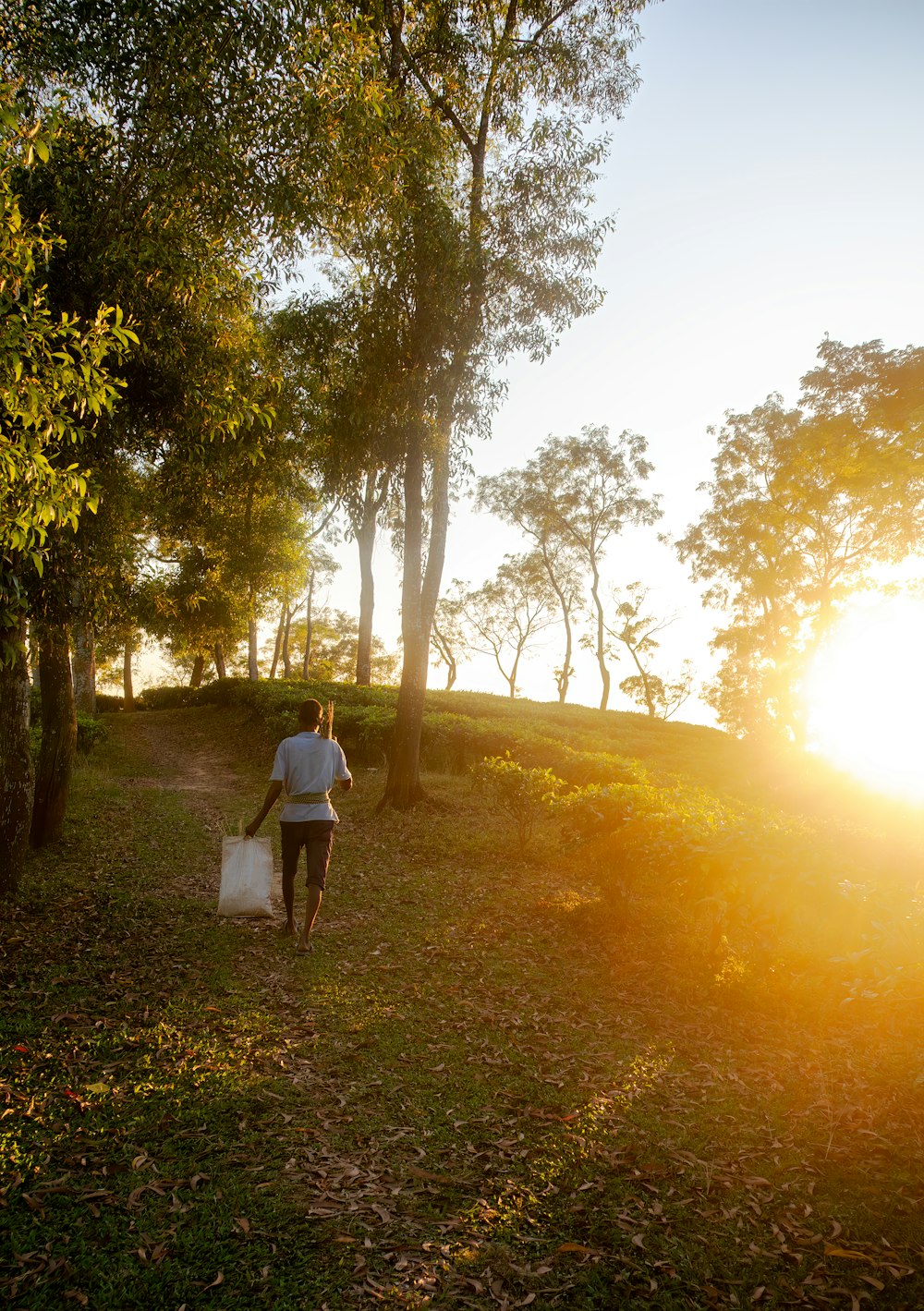 a person walking down a path with a bag