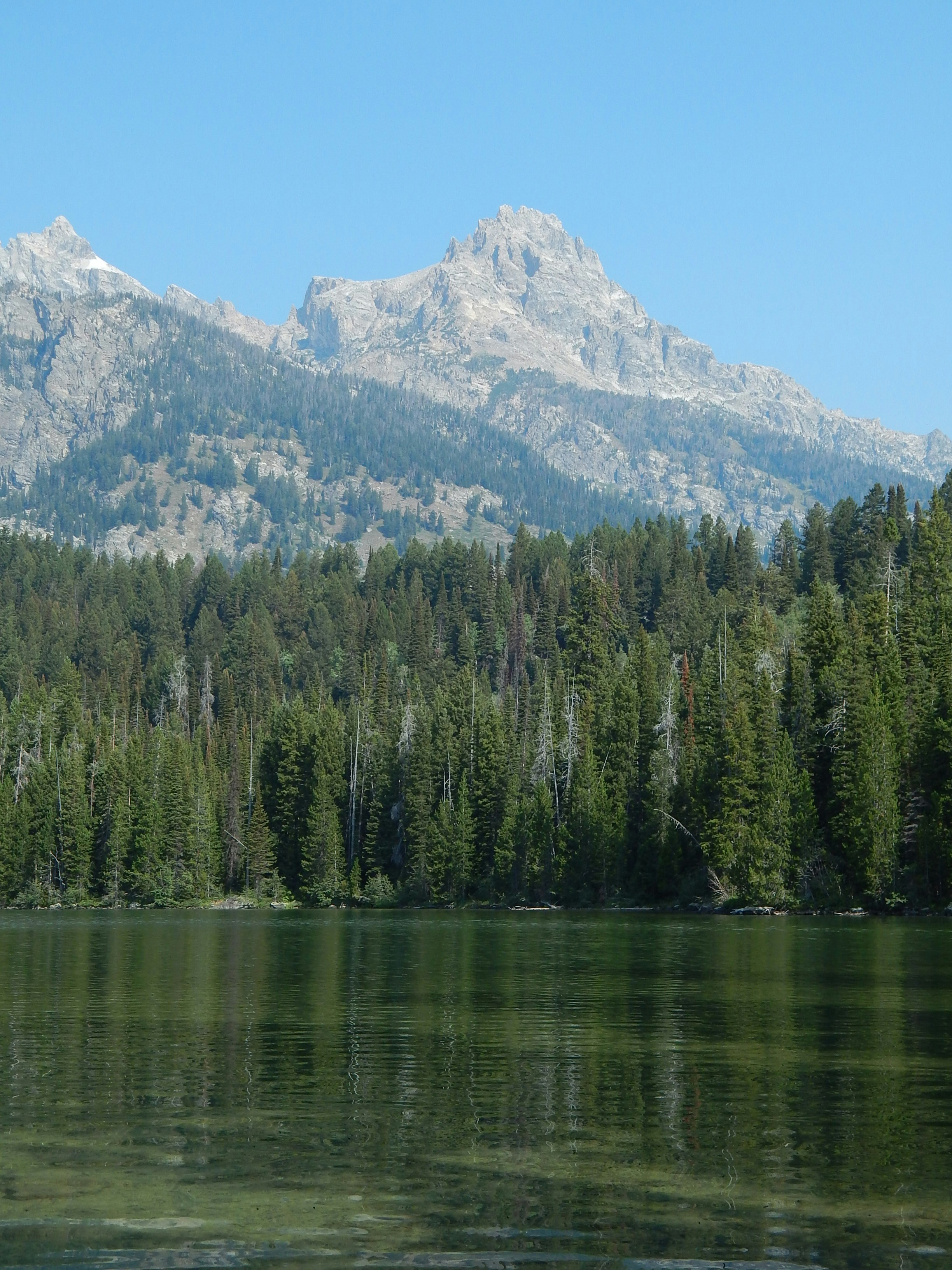 Photo by scarlettweiss