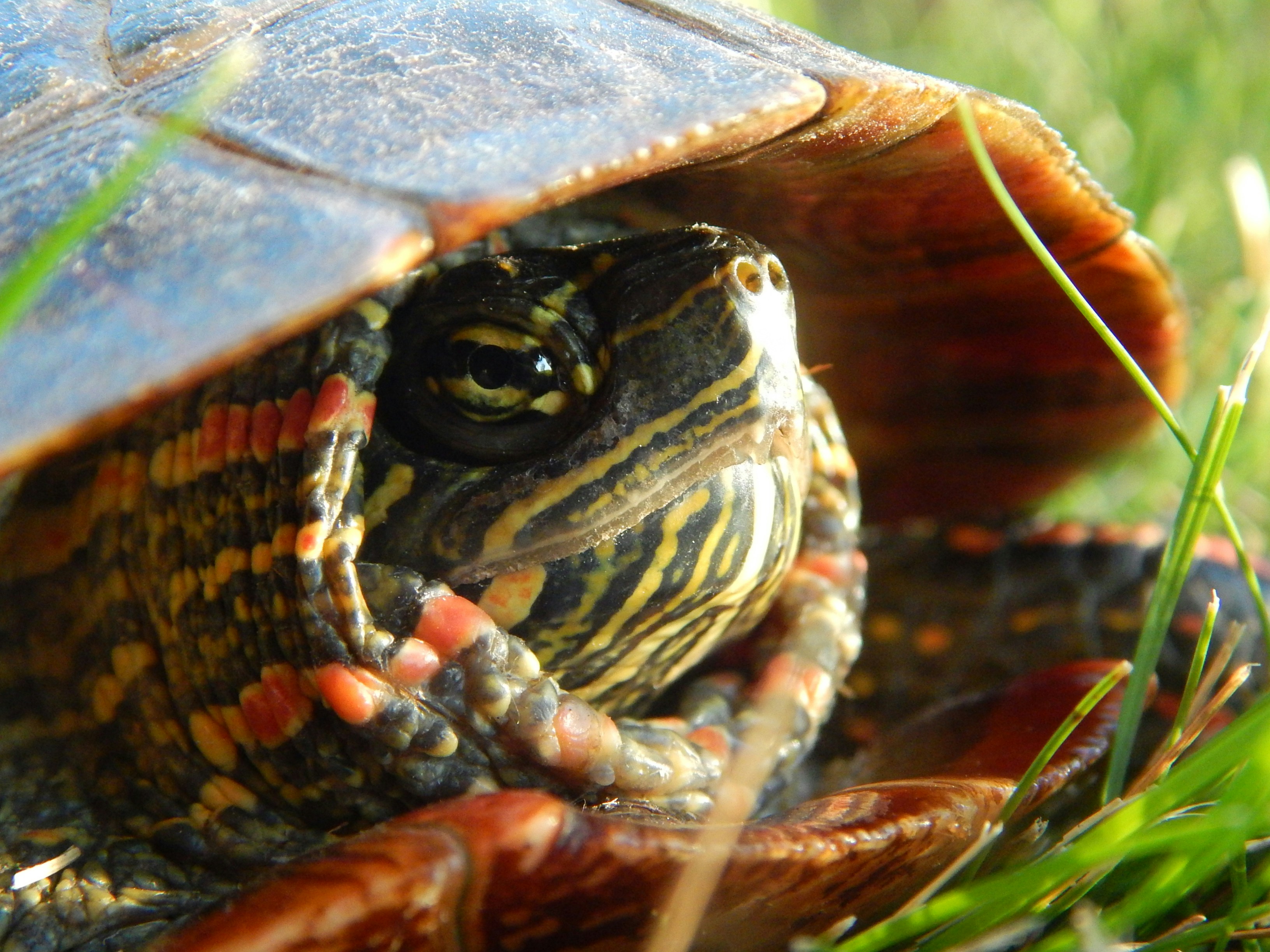 Photo by scarlettweiss