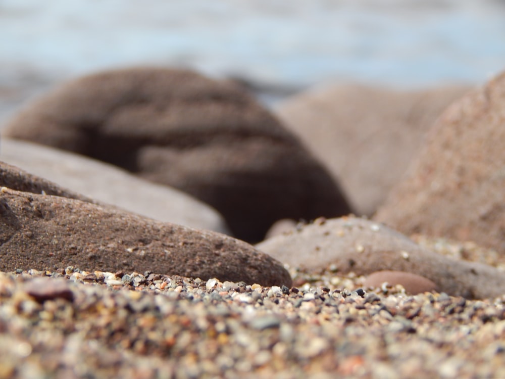 a close up of rocks and sand on a beach