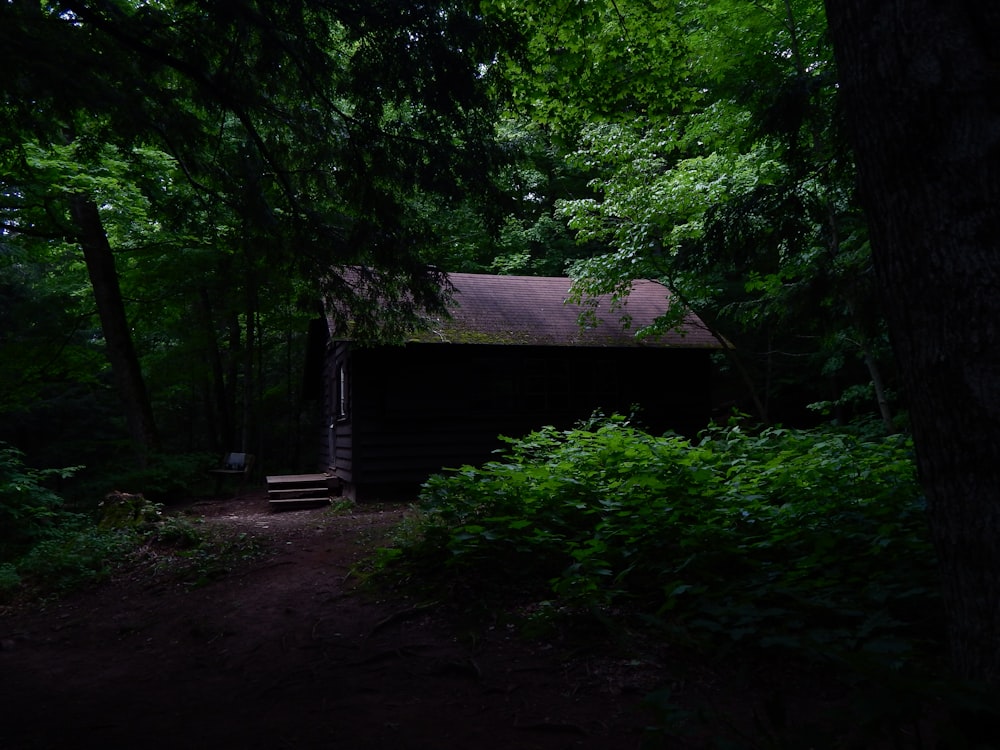 a small cabin in the middle of a forest