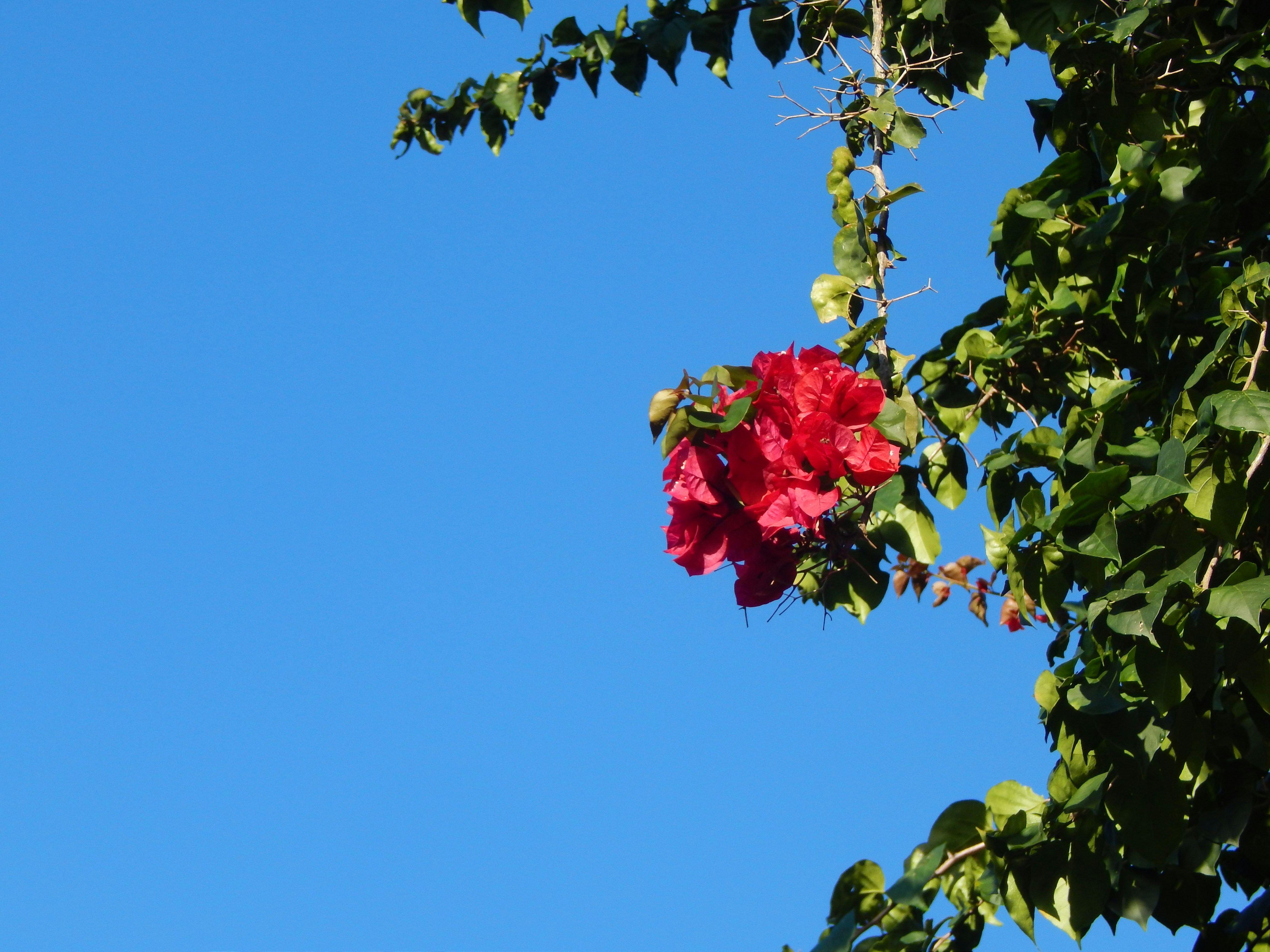 Photo by scarlettweiss