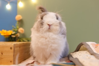 A fluffy gray and white rabbit sits on a cozy surface, with soft lighting creating a warm ambiance. The background features blurred lights and colorful flowers, adding to the serene and inviting atmosphere.