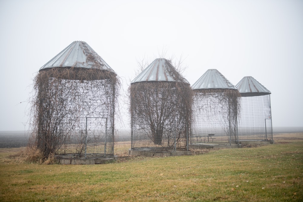 a group of three metal structures covered in vines