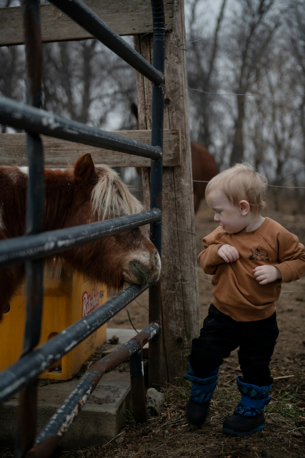 a little boy standing next to a brown and white horse