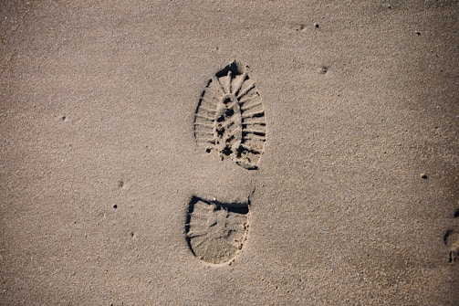 Close-up of Sasquatch footprints pressed into damp earth near a bubbling creek.