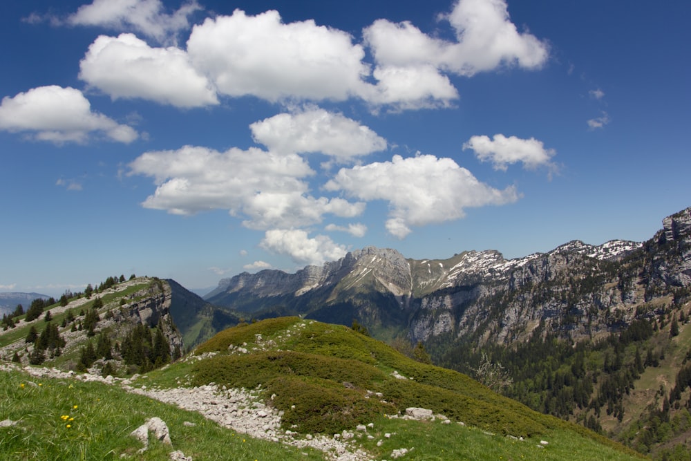 a view of a grassy hill with mountains in the background