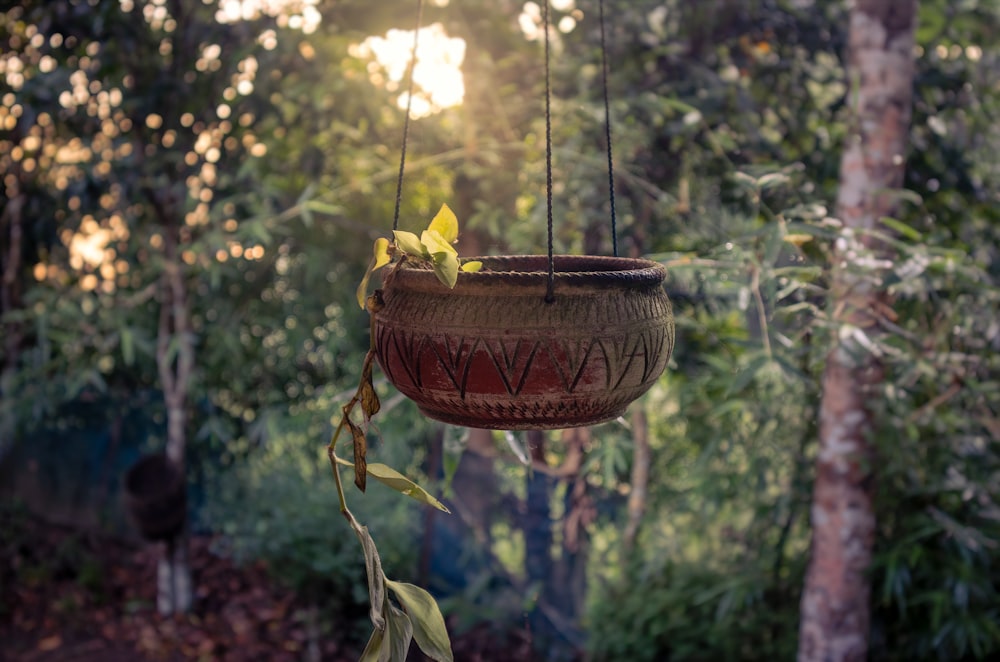 a hanging planter in the middle of a forest