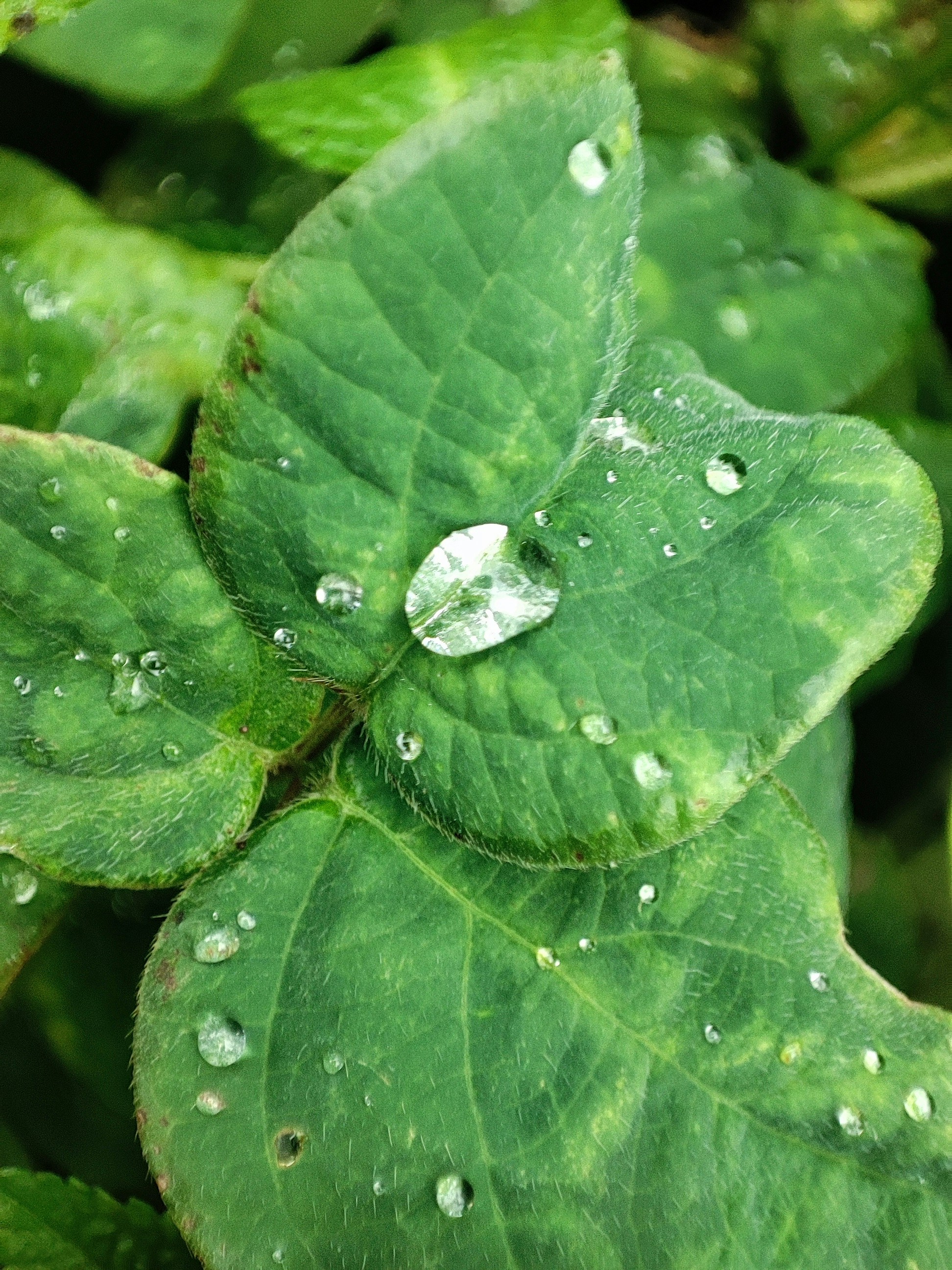 Photo by pranav_ijantkar04