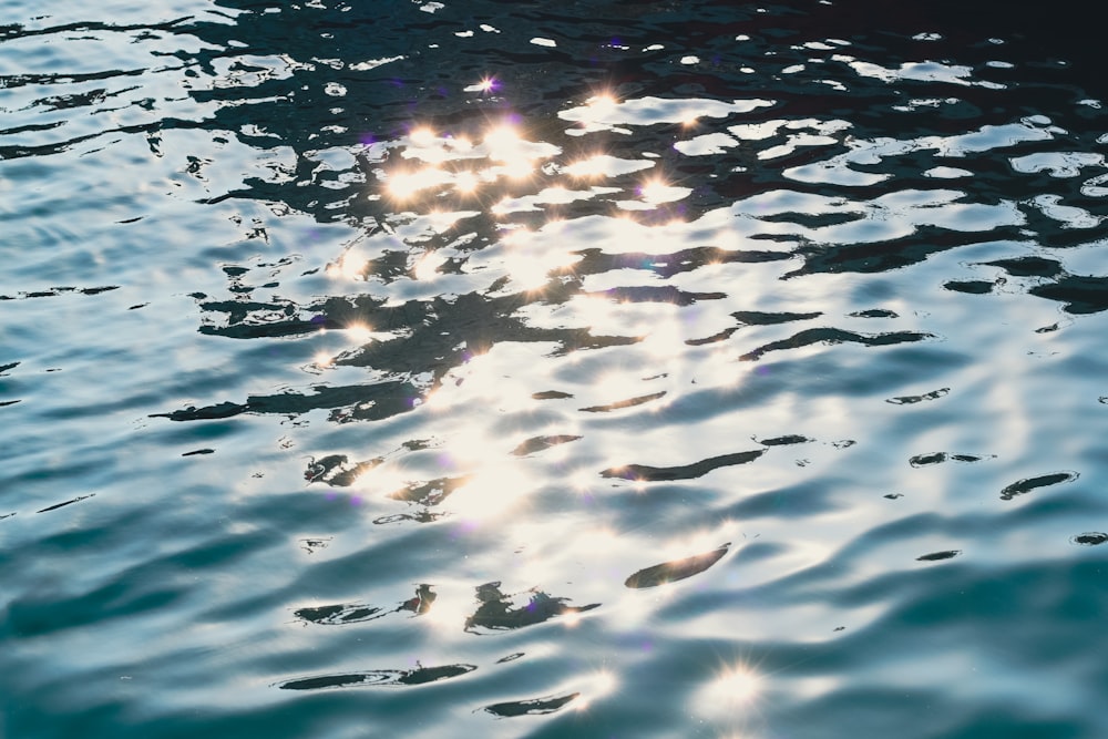 Le soleil brille à la surface de l’eau