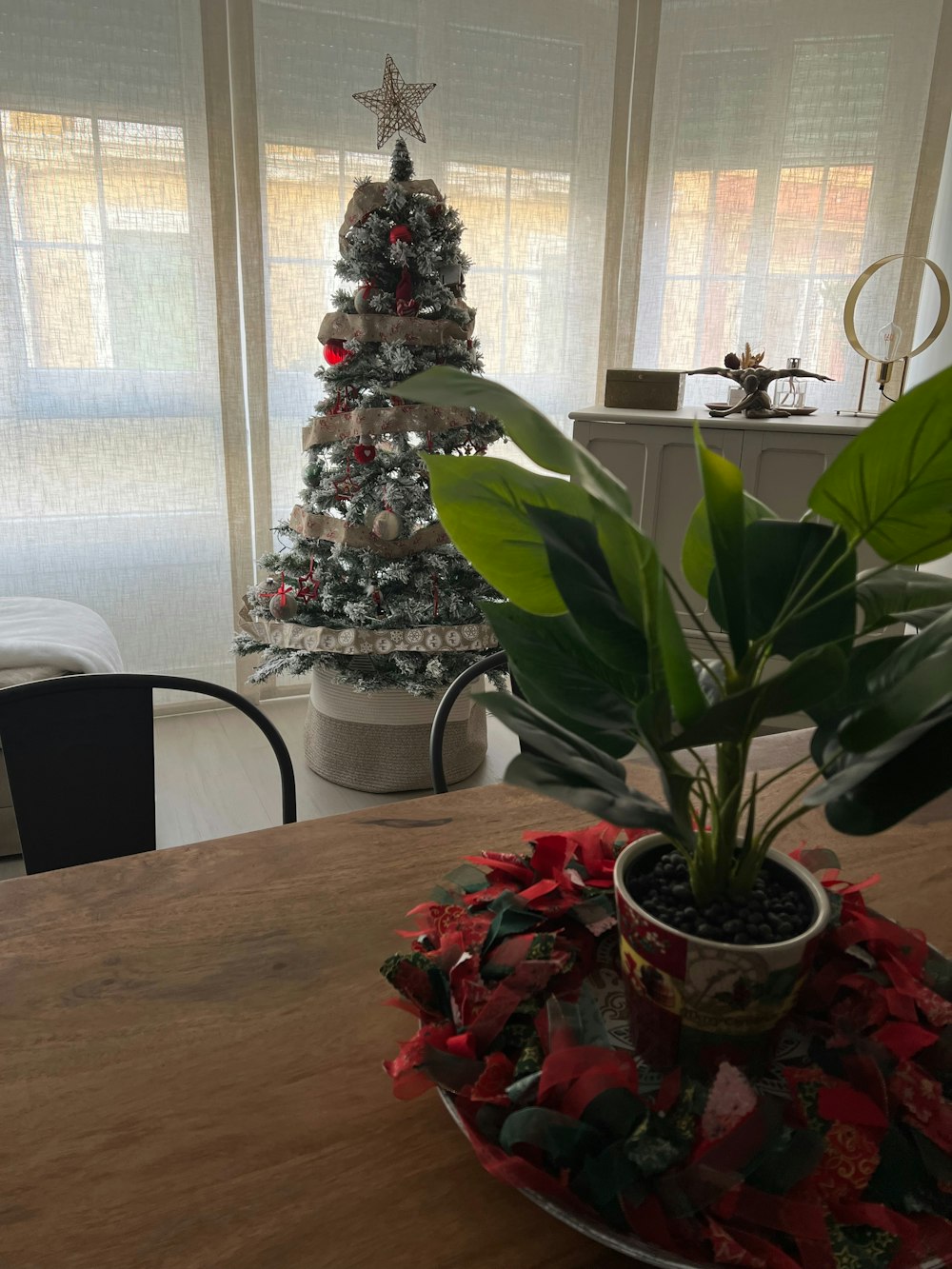 a potted plant sitting on top of a wooden table