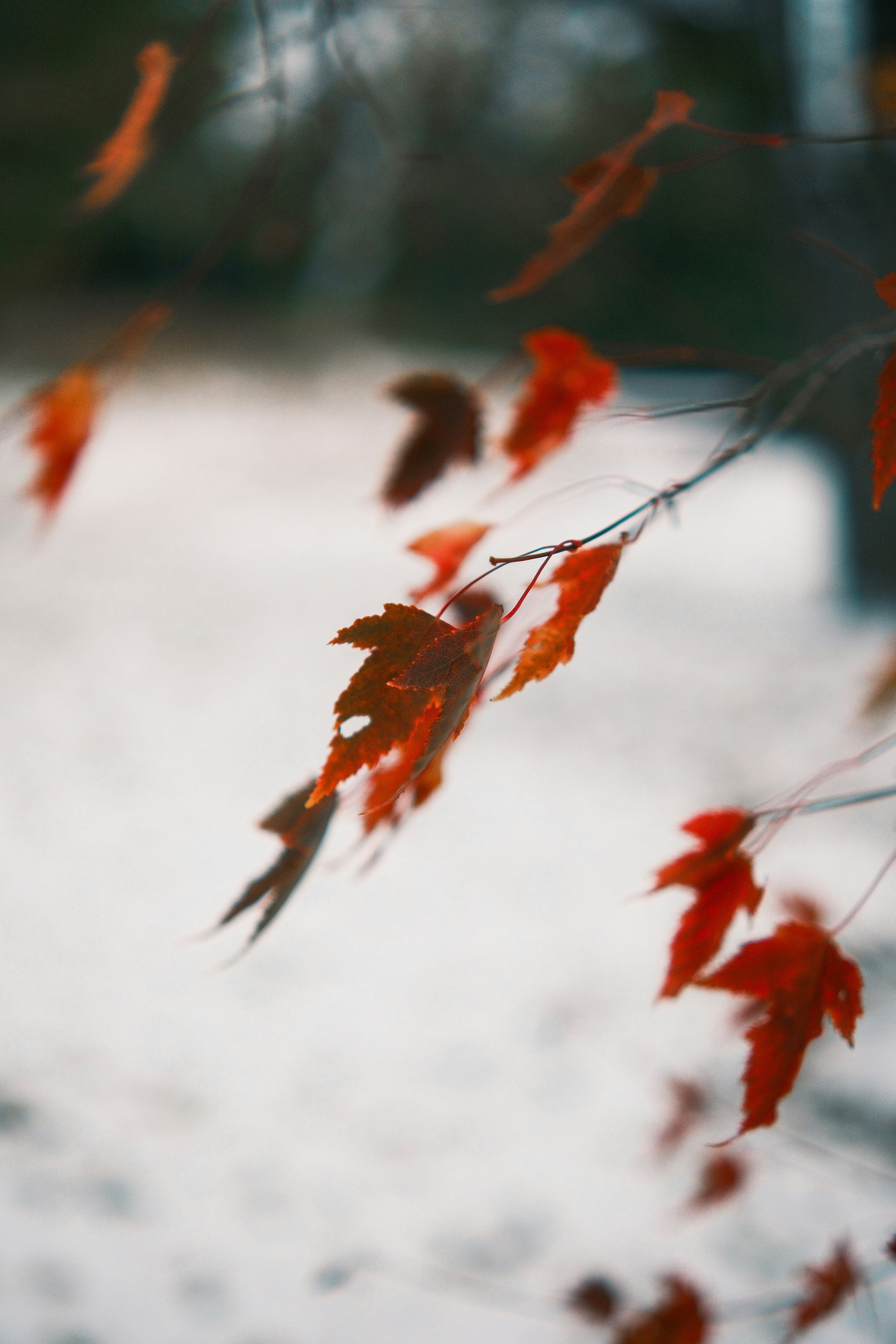 Photo by consoledotlog