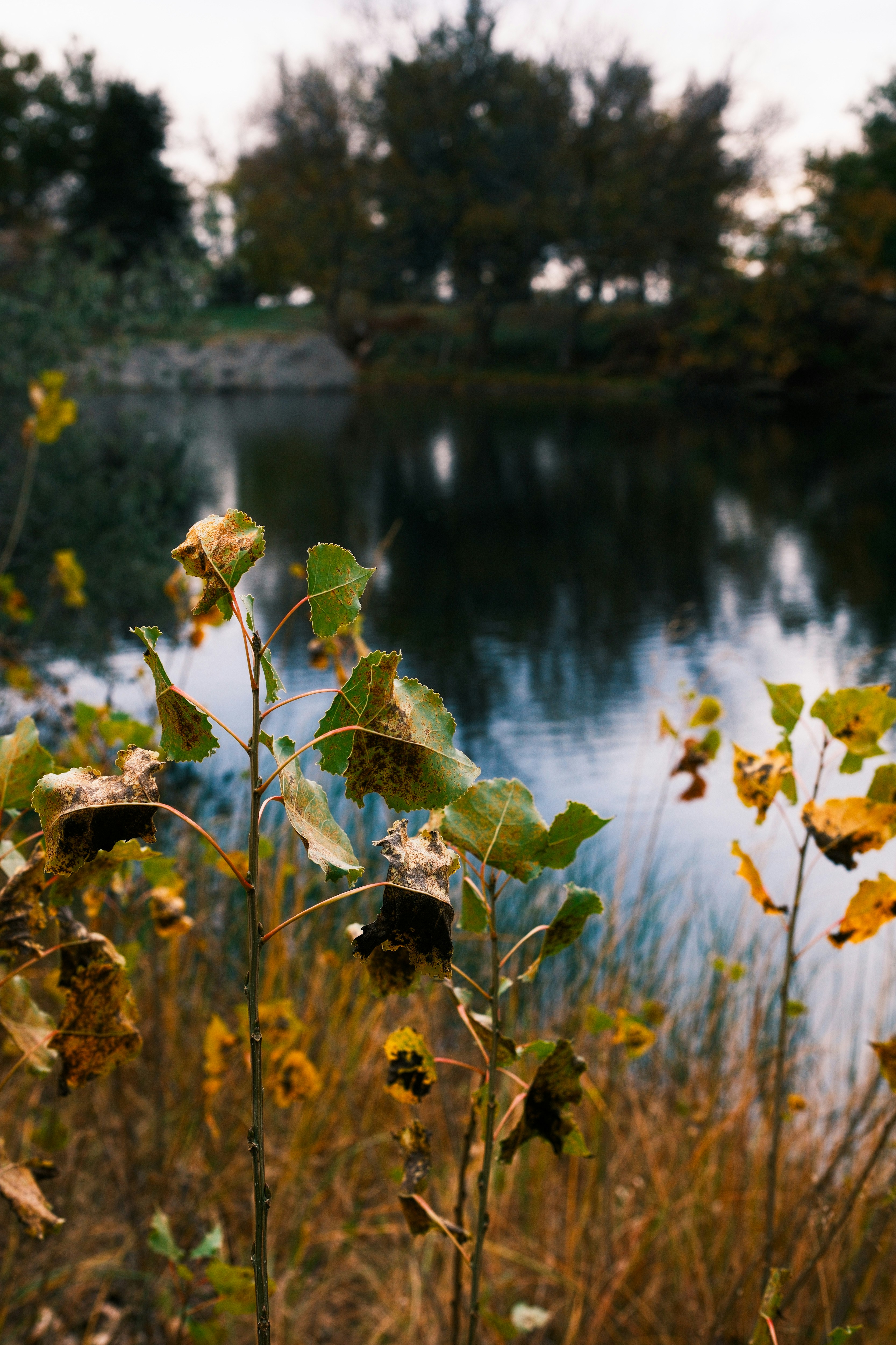 Photo by consoledotlog