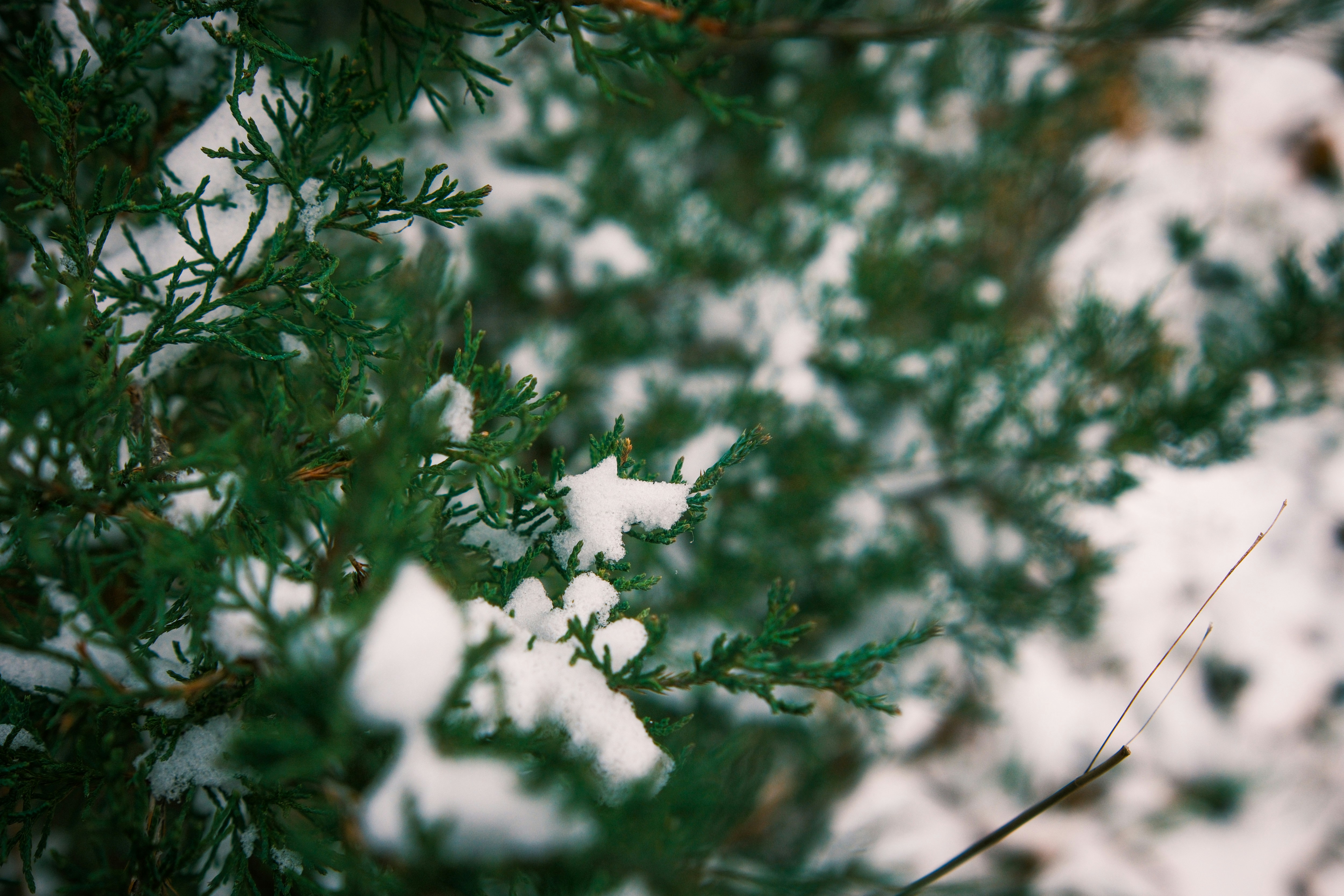 Photo by consoledotlog