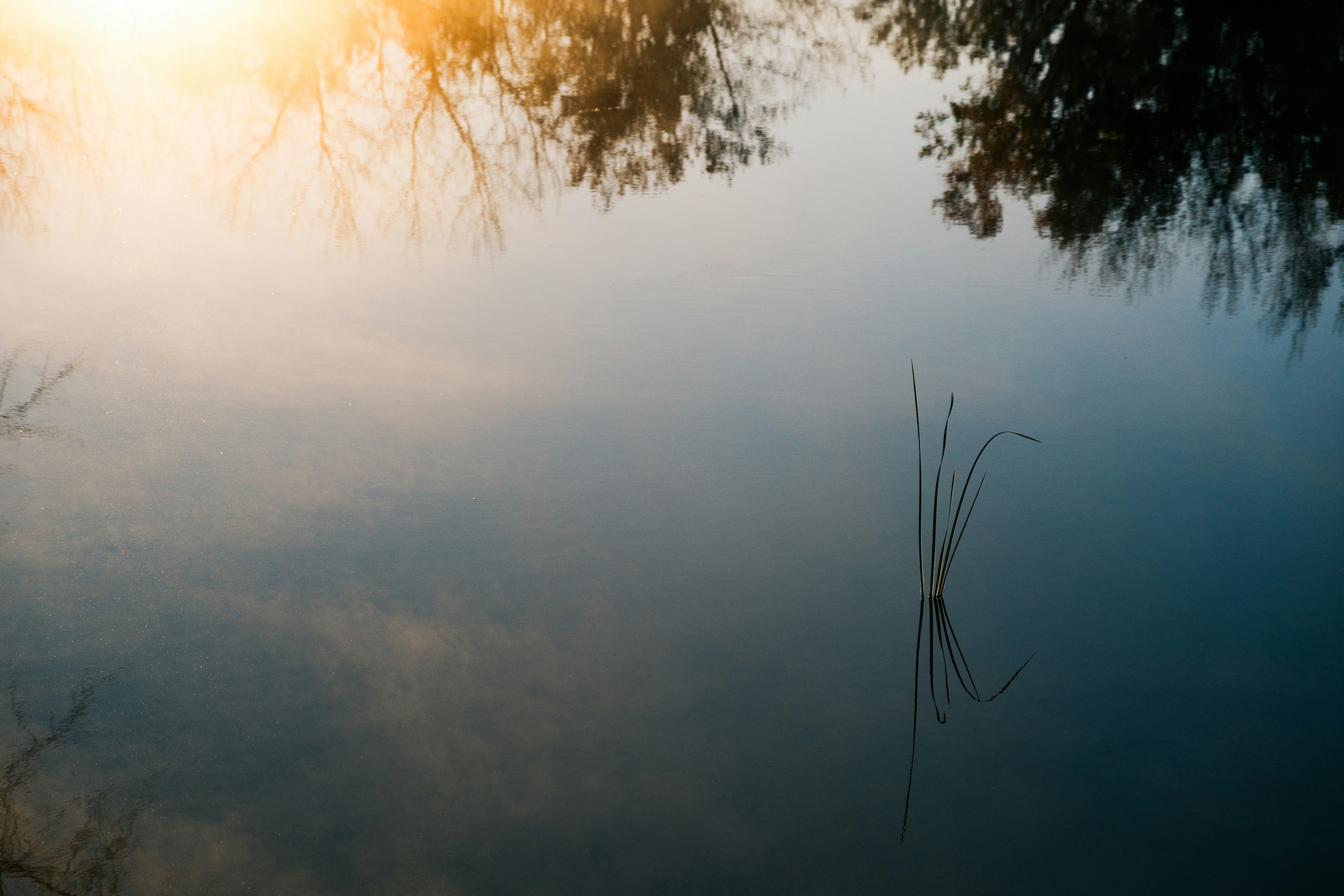 Photo by consoledotlog