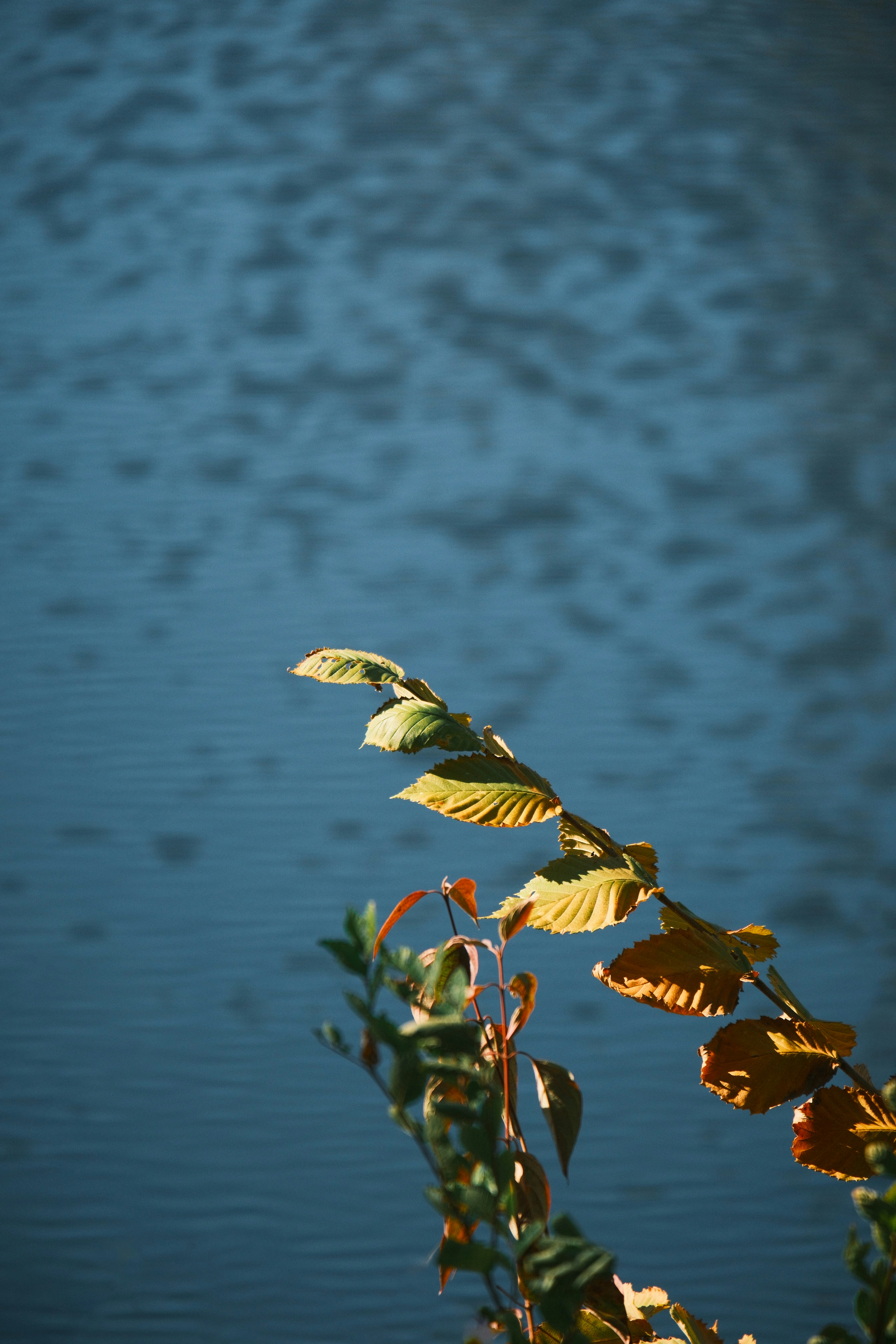 Photo by consoledotlog