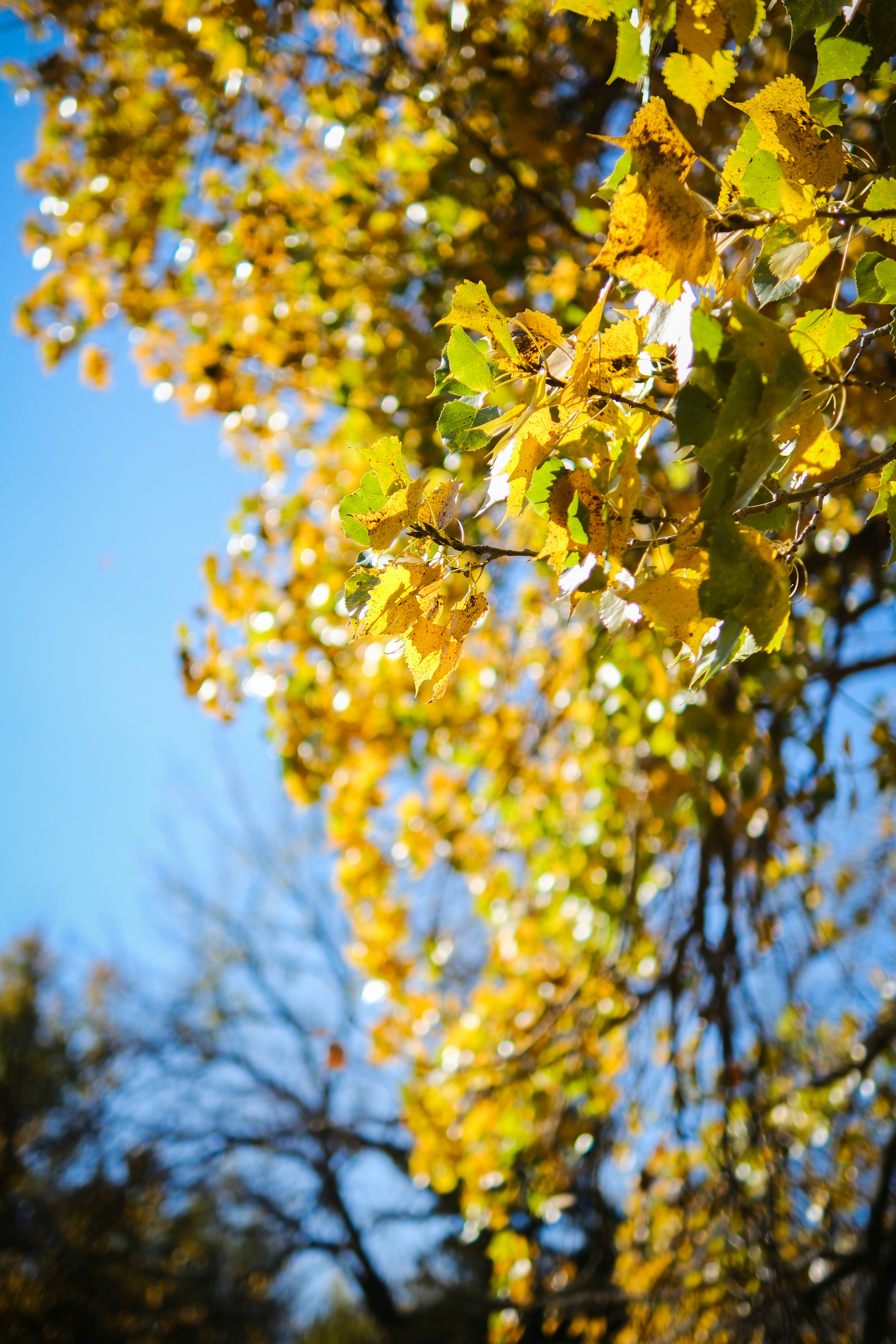 Photo by consoledotlog