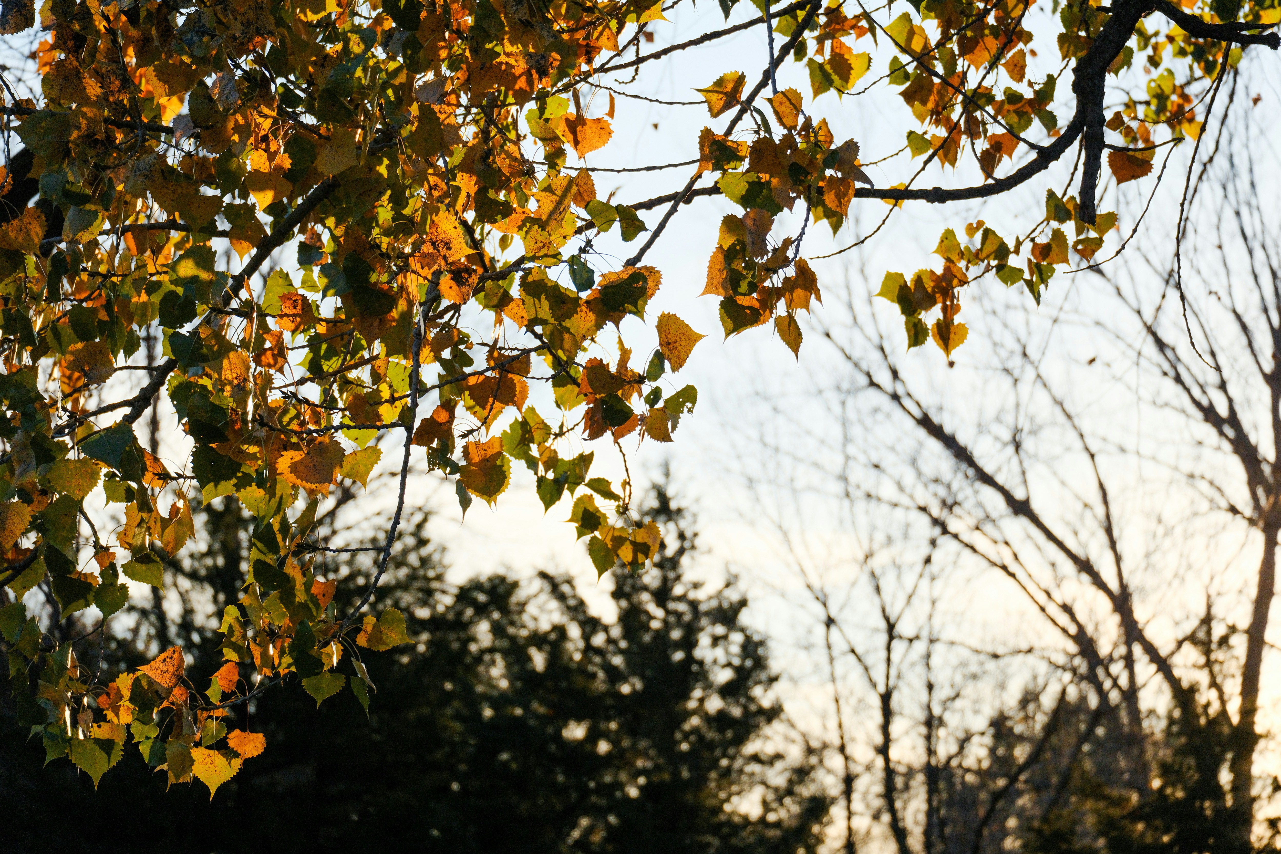 Photo by consoledotlog