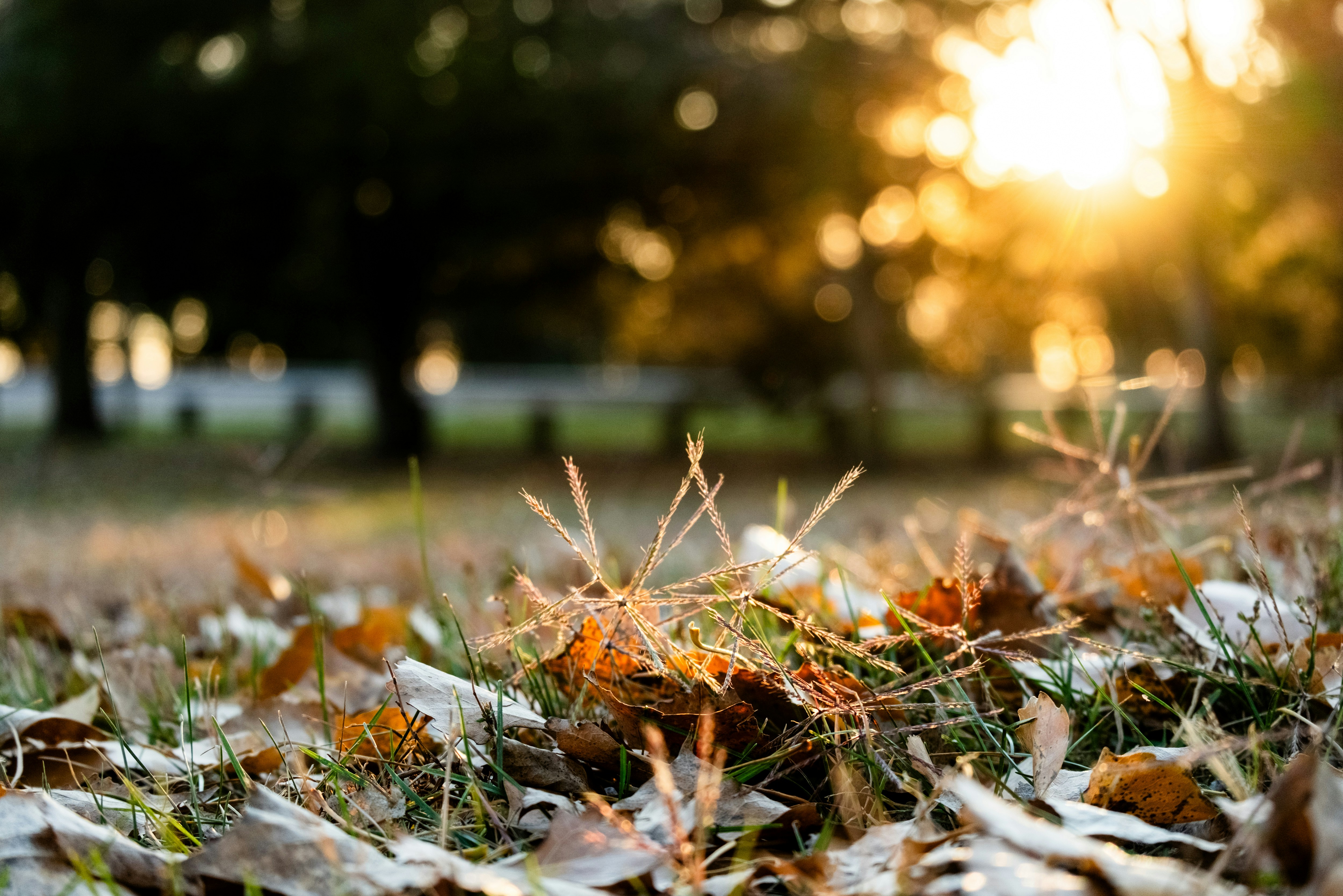 3. Seasonal Strategies and Proactive Management