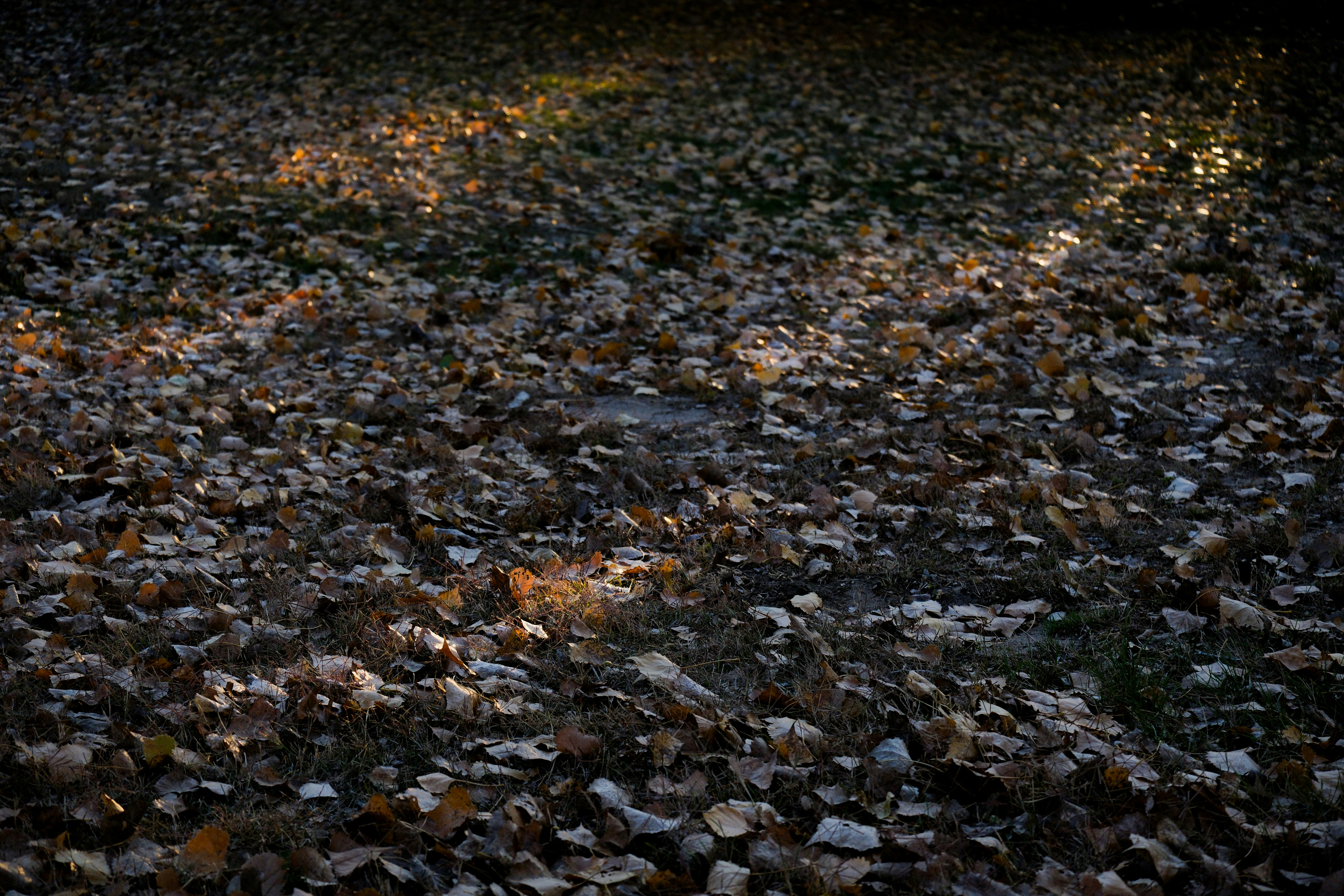 Photo by consoledotlog