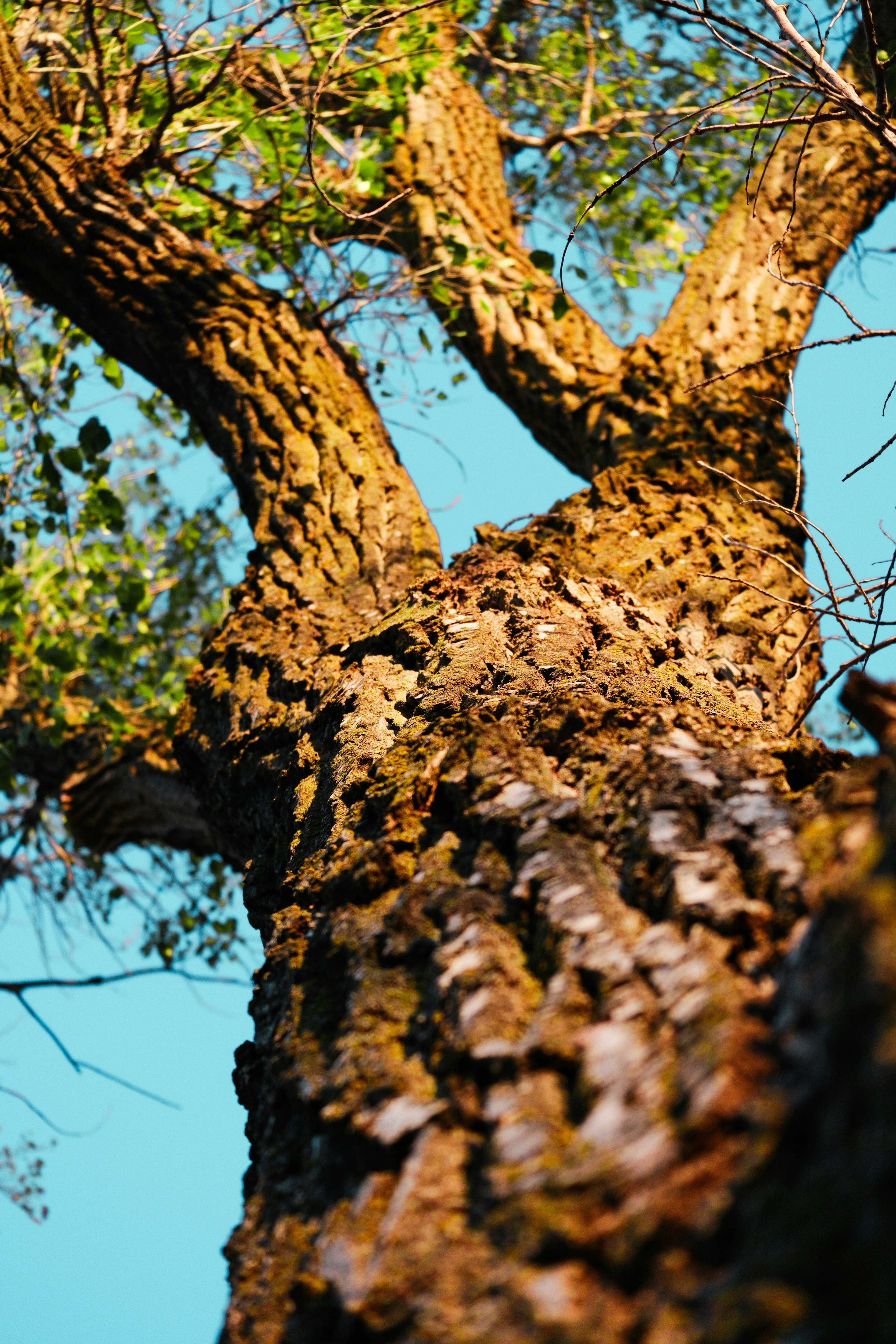 Photo by consoledotlog