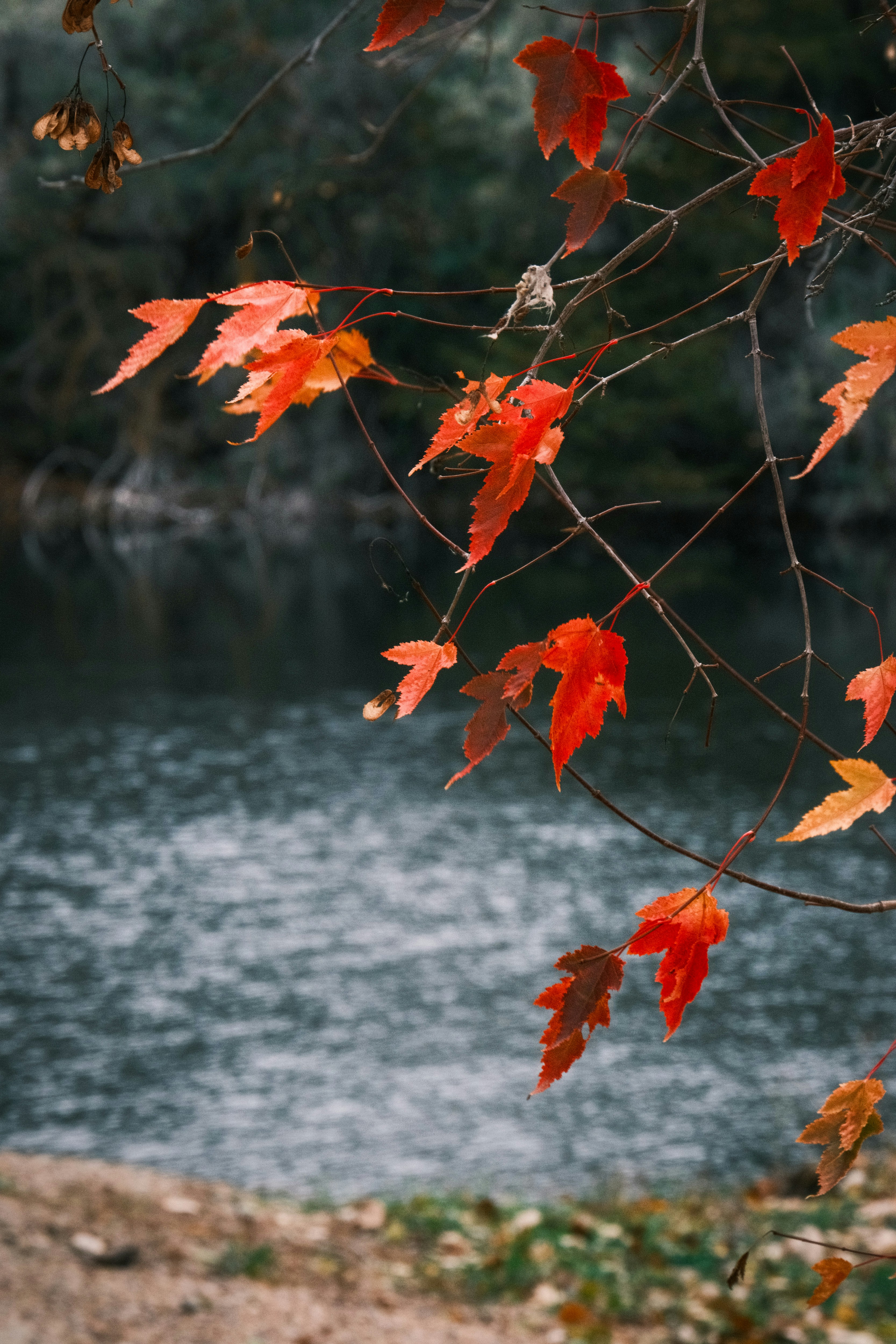 Photo by consoledotlog