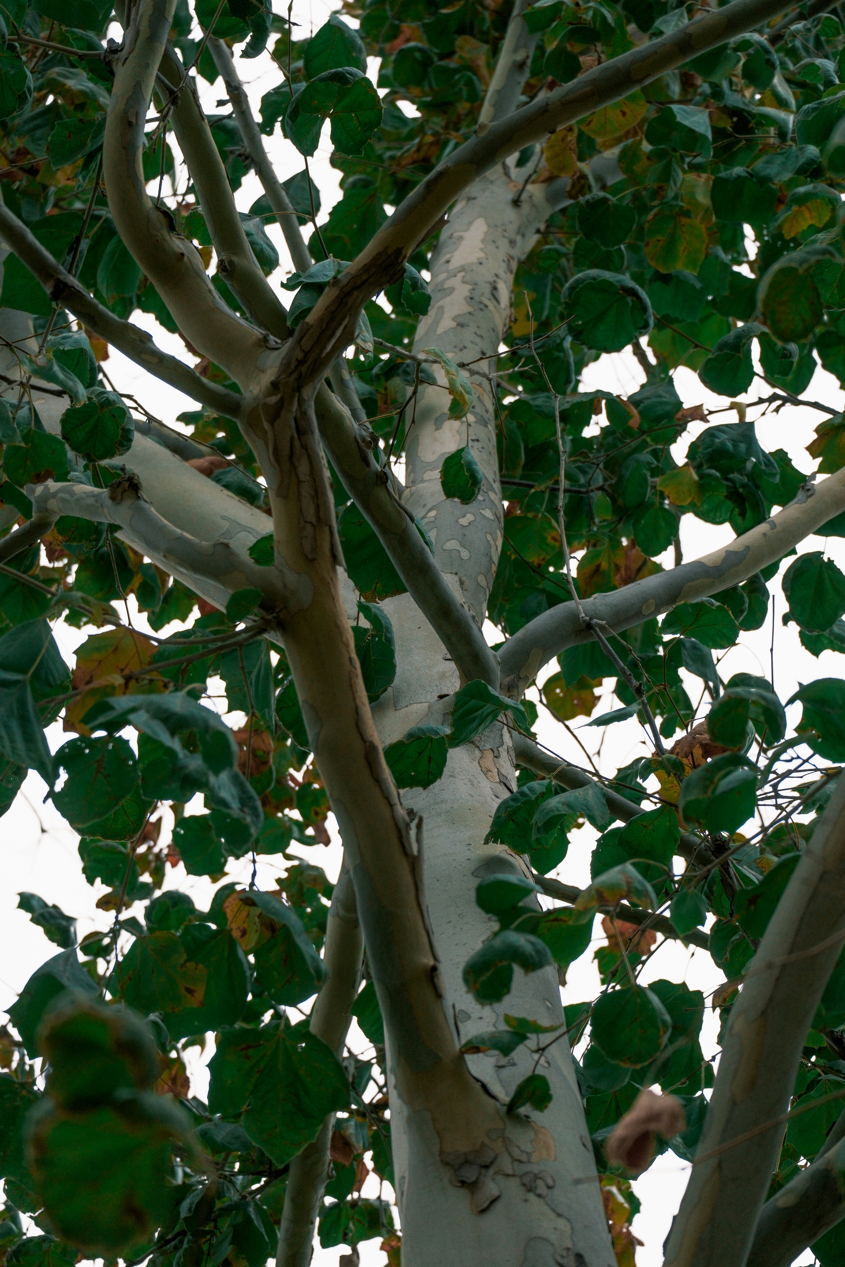 Photo by consoledotlog