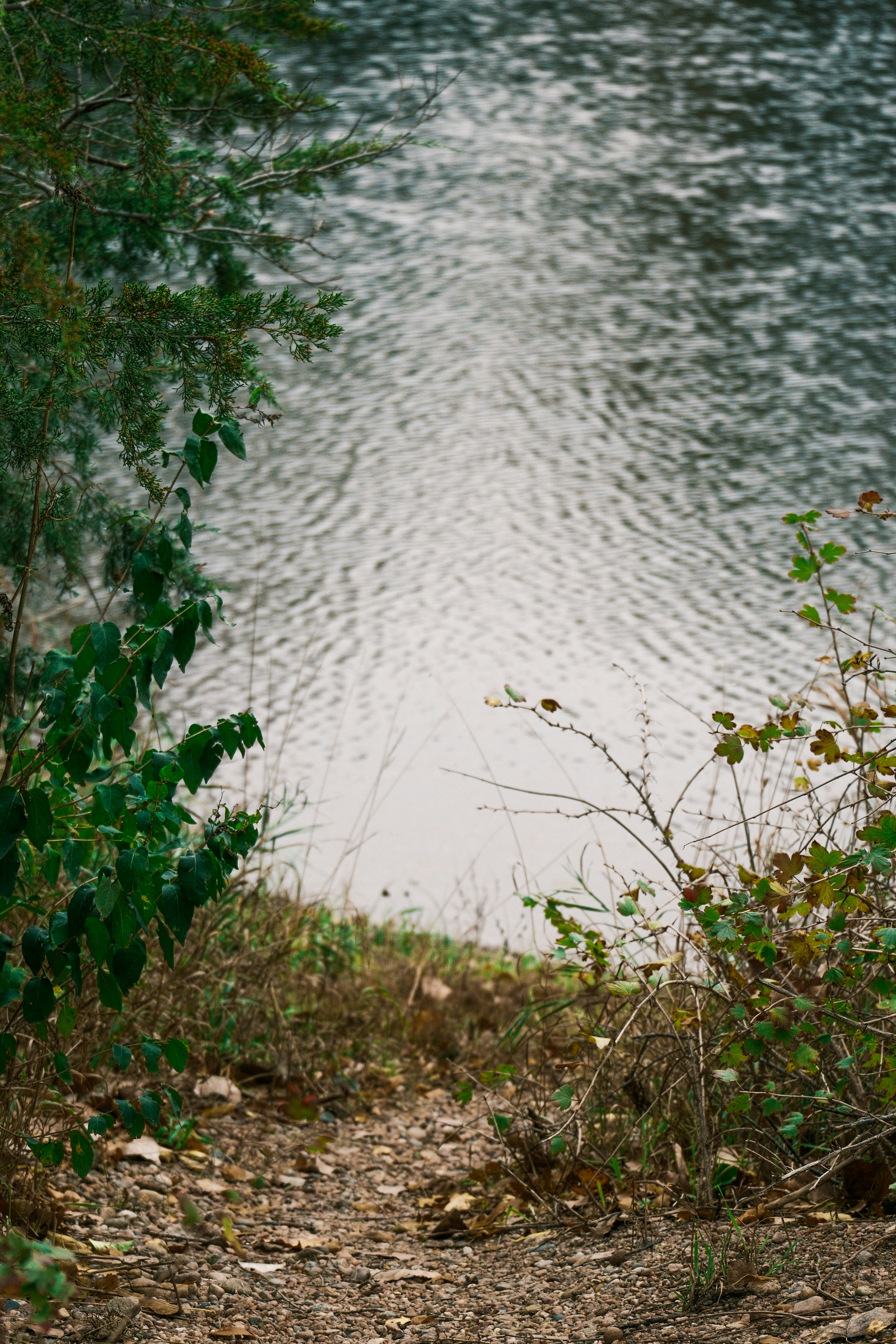 Photo by consoledotlog