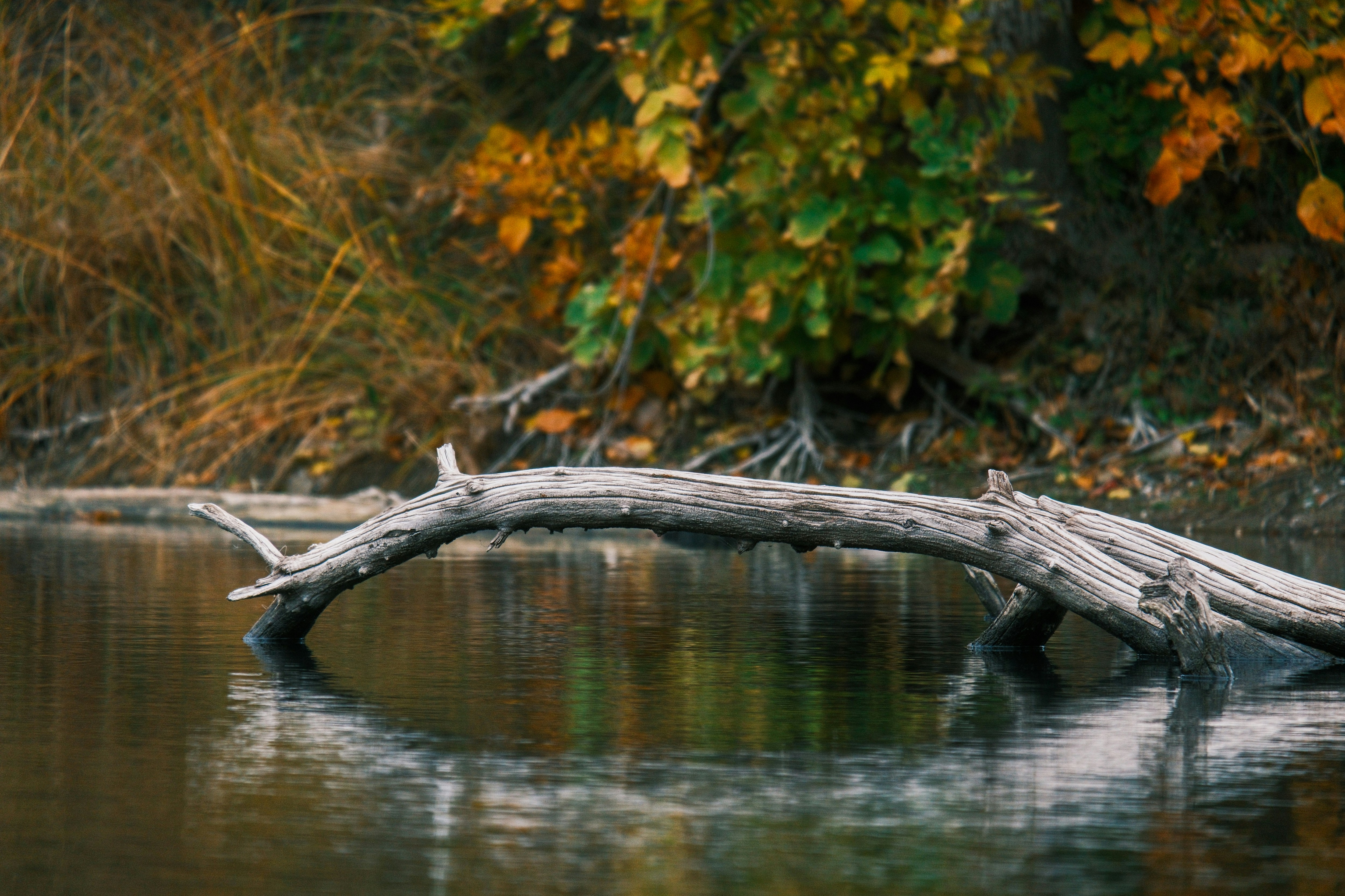 Photo by consoledotlog