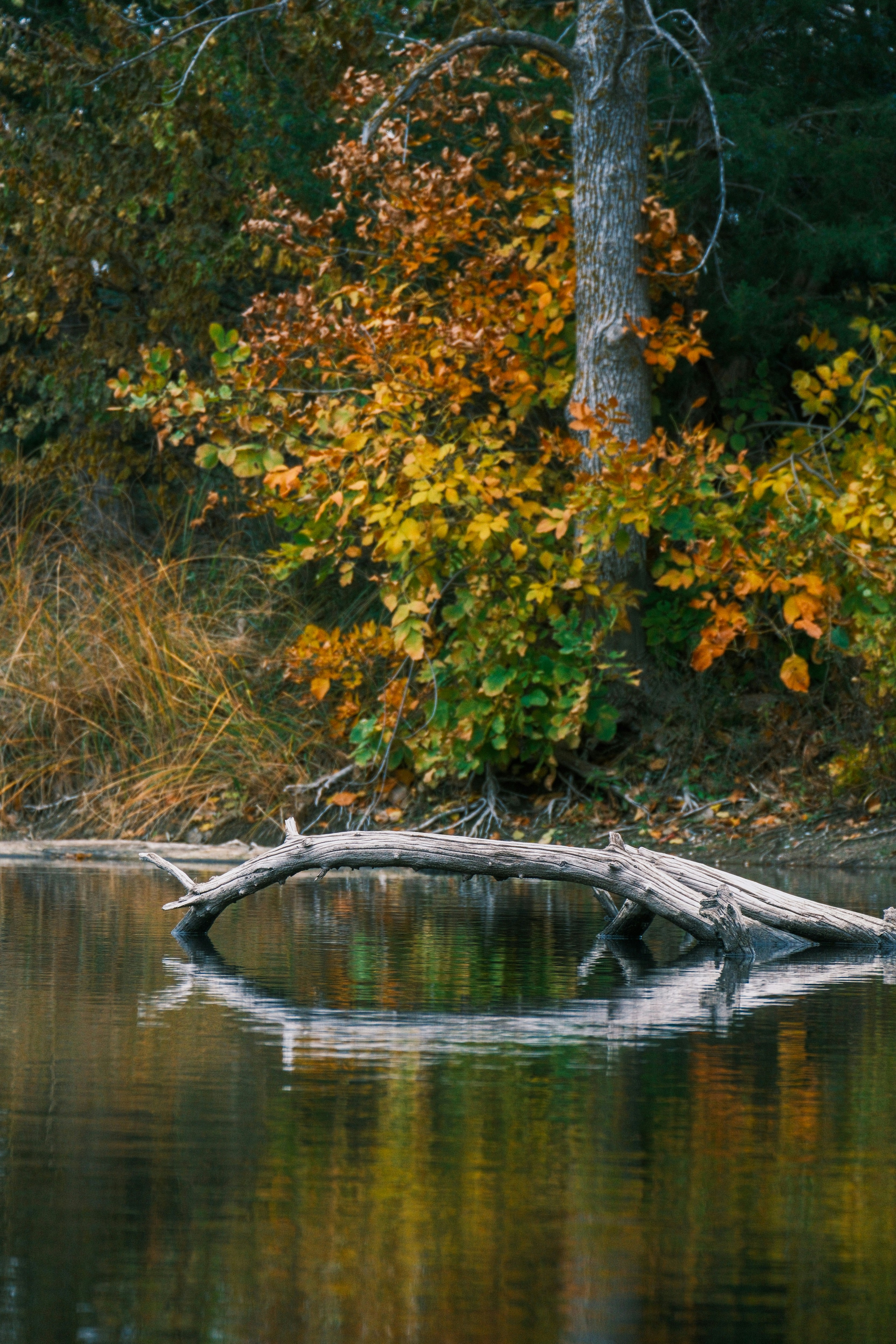 Photo by consoledotlog