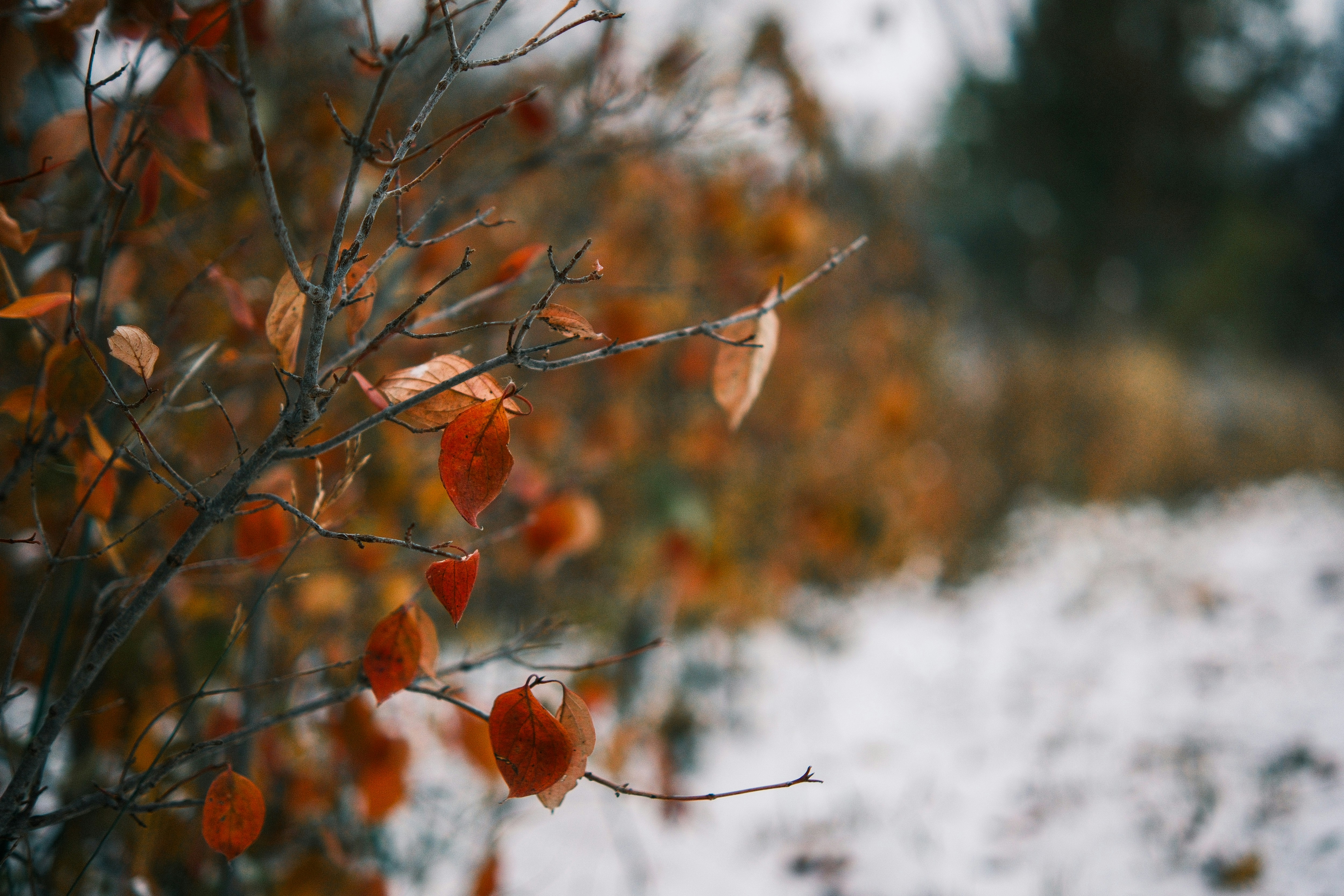 Photo by consoledotlog