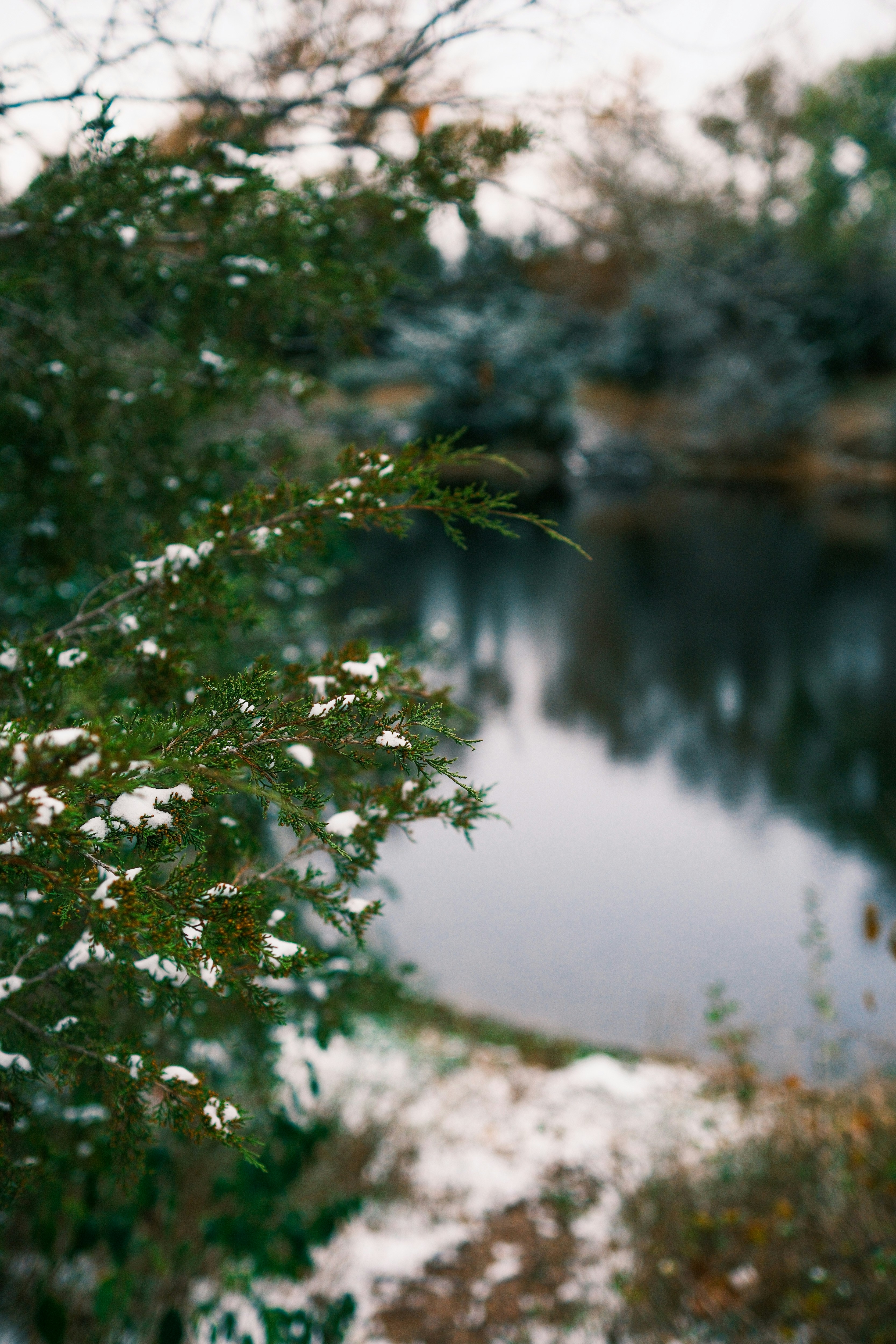 Photo by consoledotlog