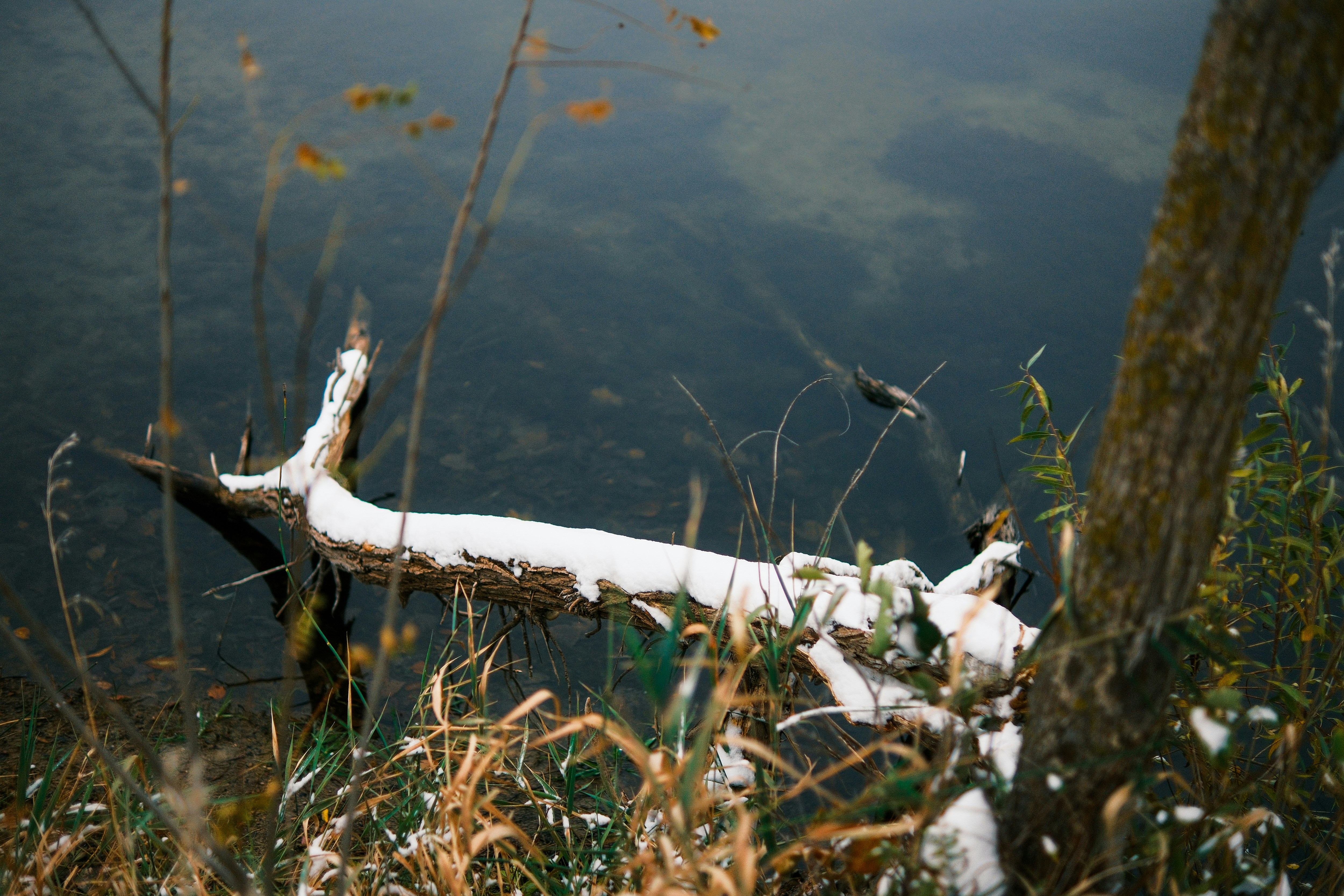 Photo by consoledotlog