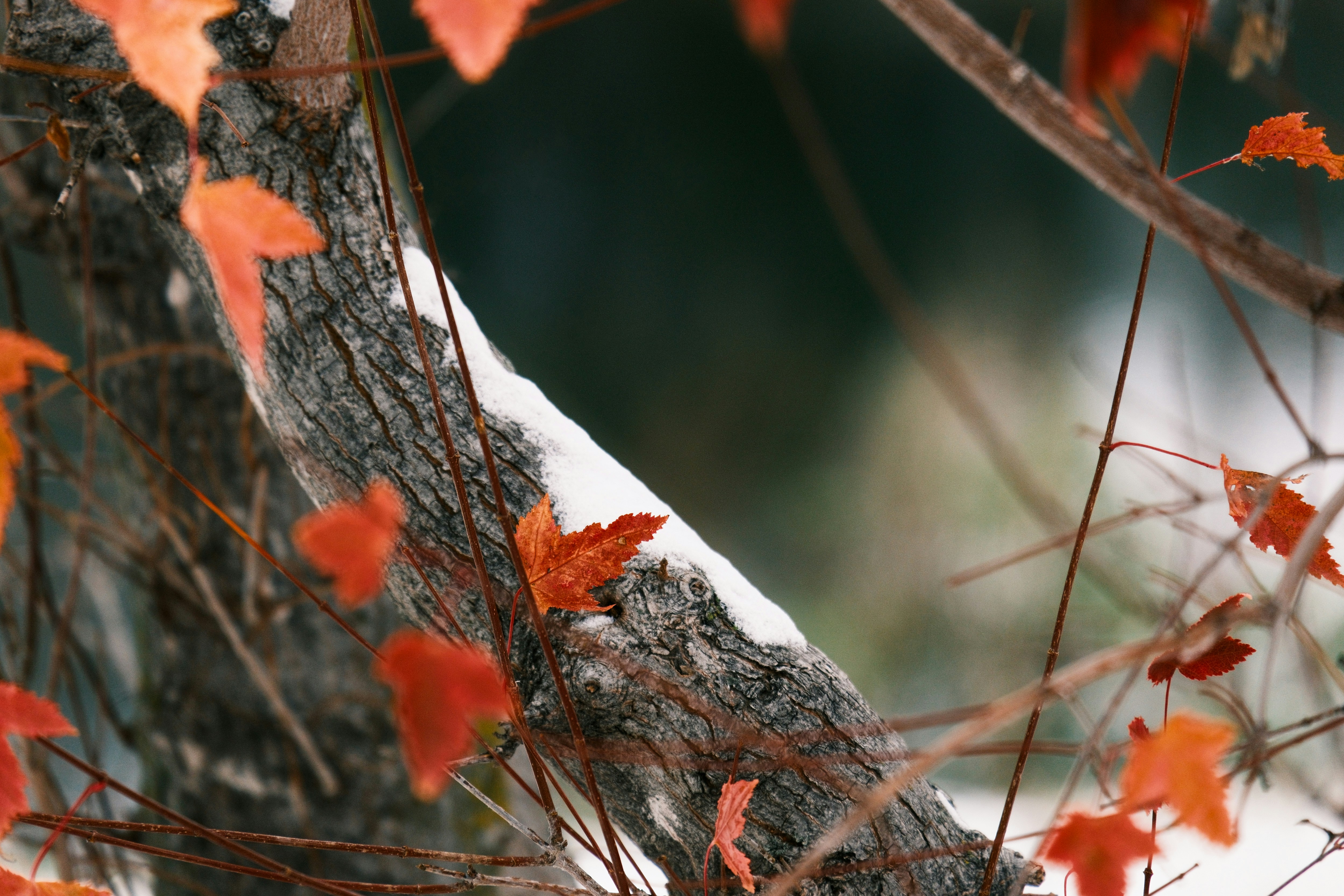 Photo by consoledotlog