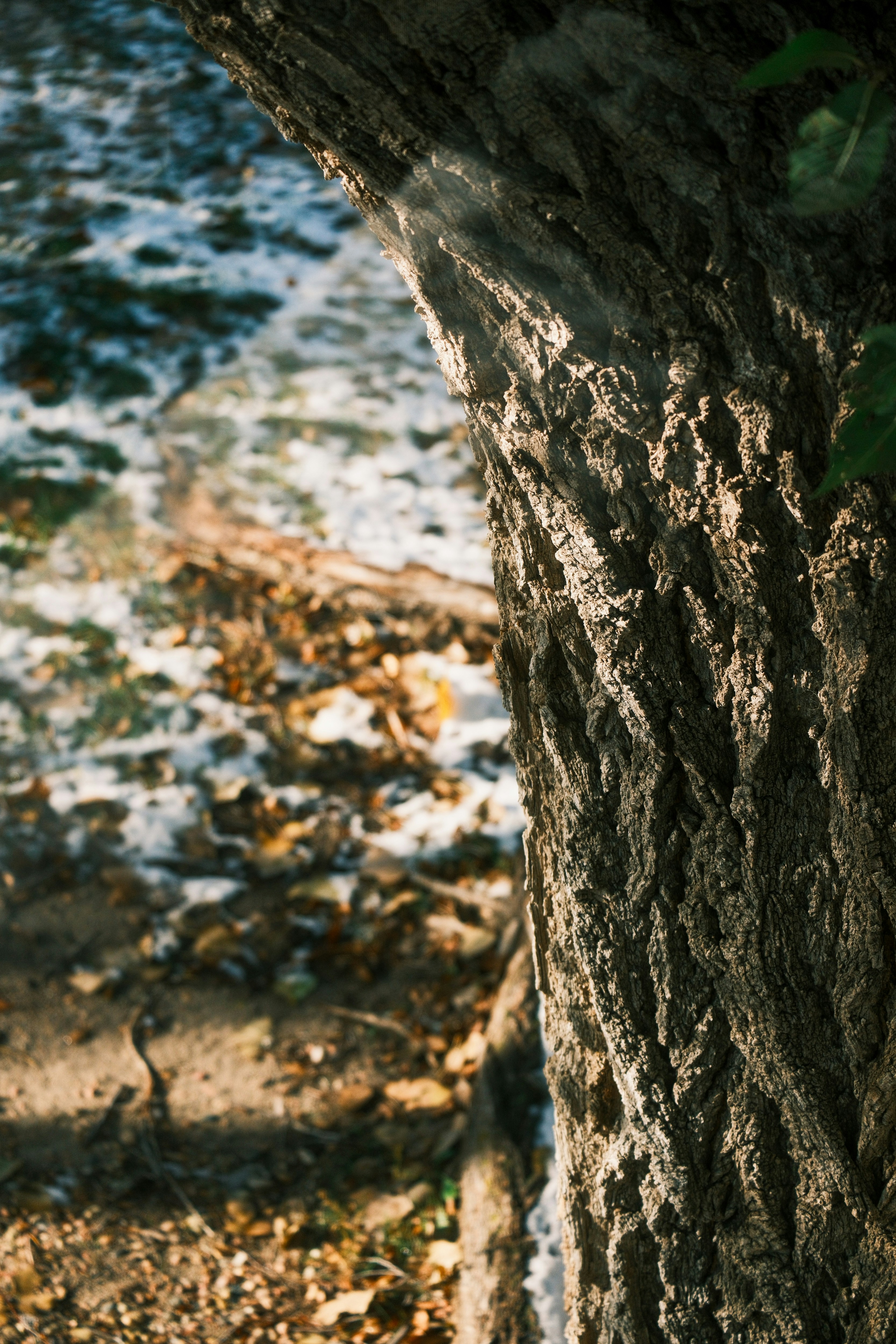 Photo by consoledotlog