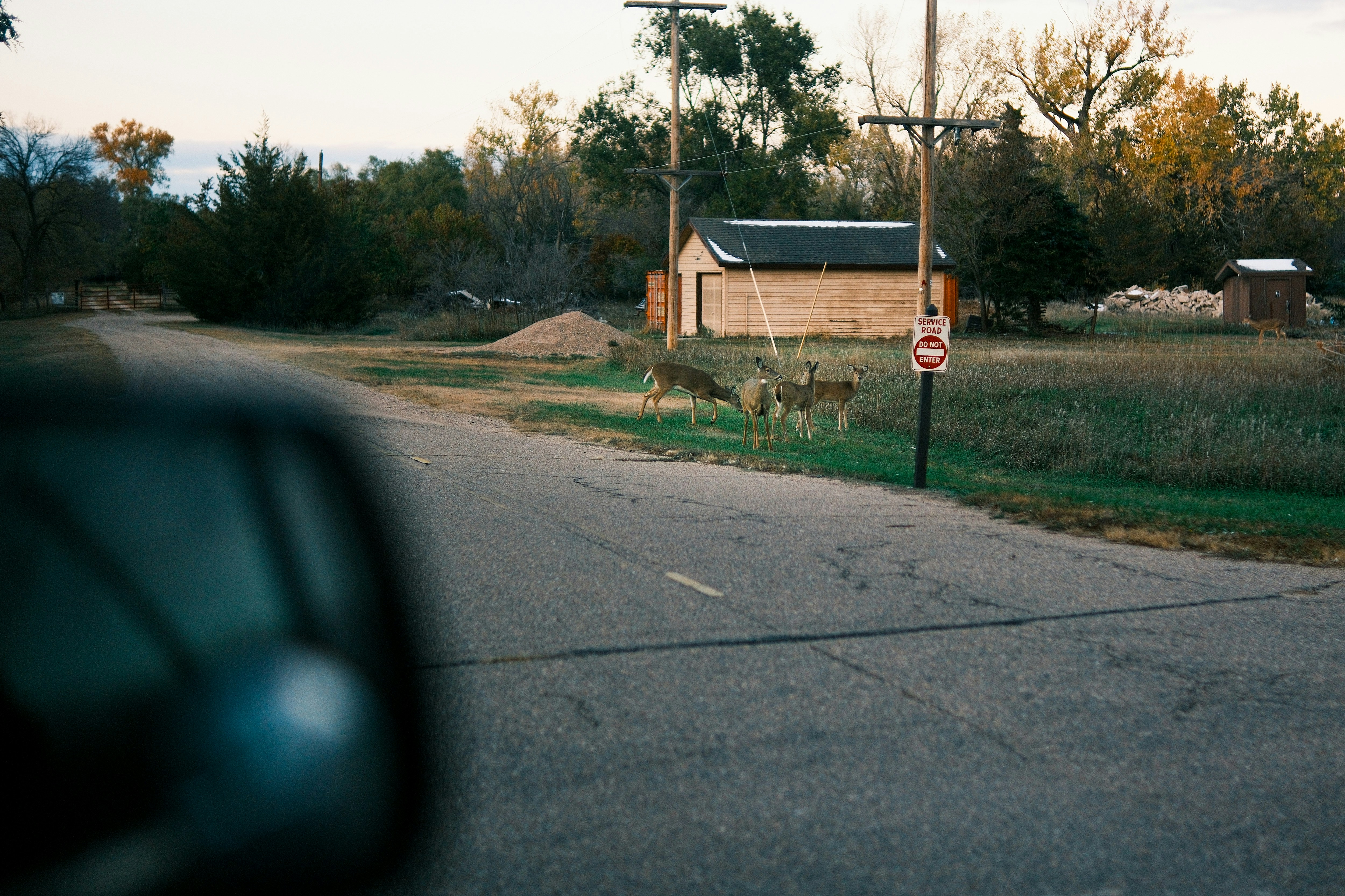 Photo by consoledotlog